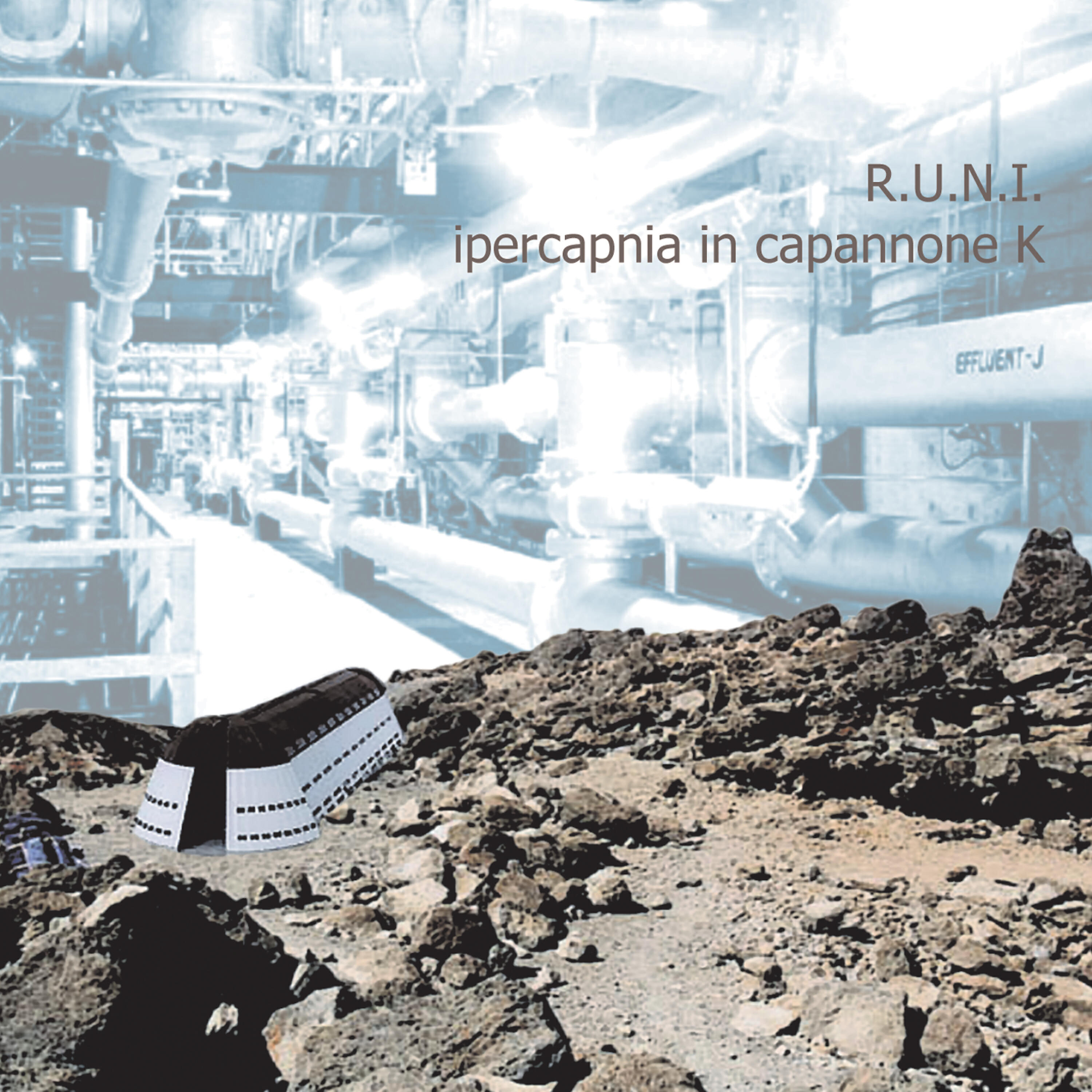 R.u.n.i. - Bovini in equilibrio