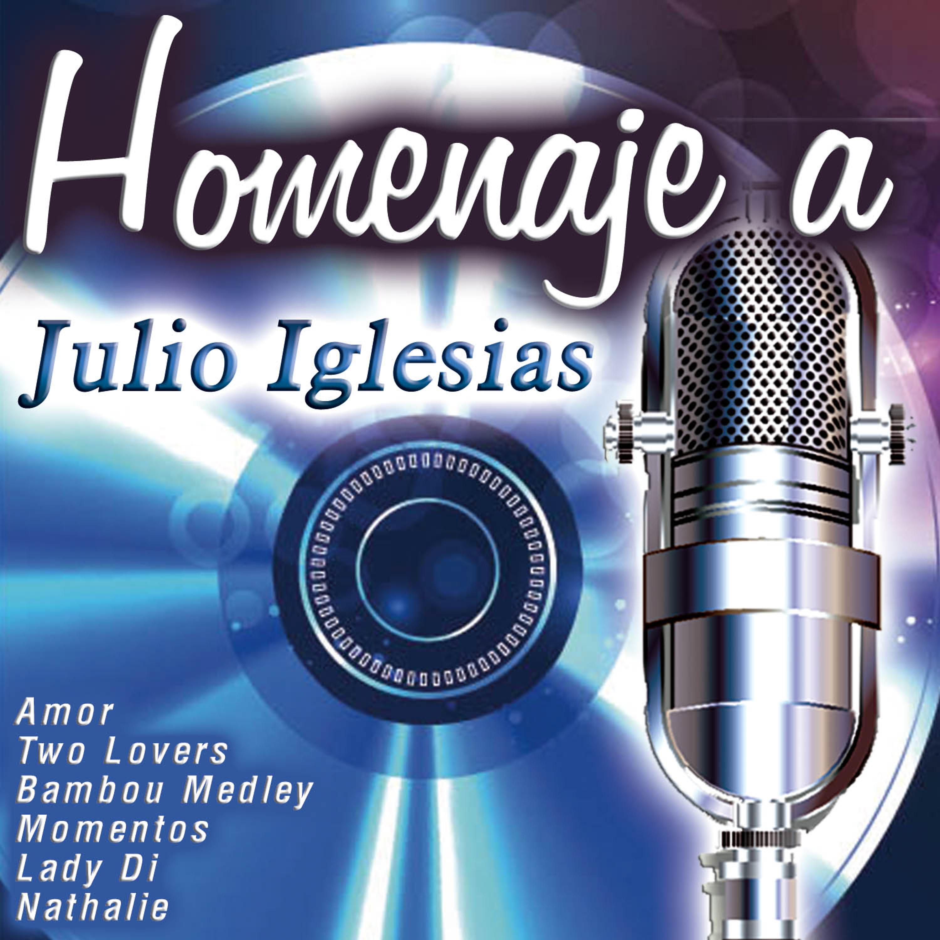 Постер альбома Homenaje a Julio Iglesias