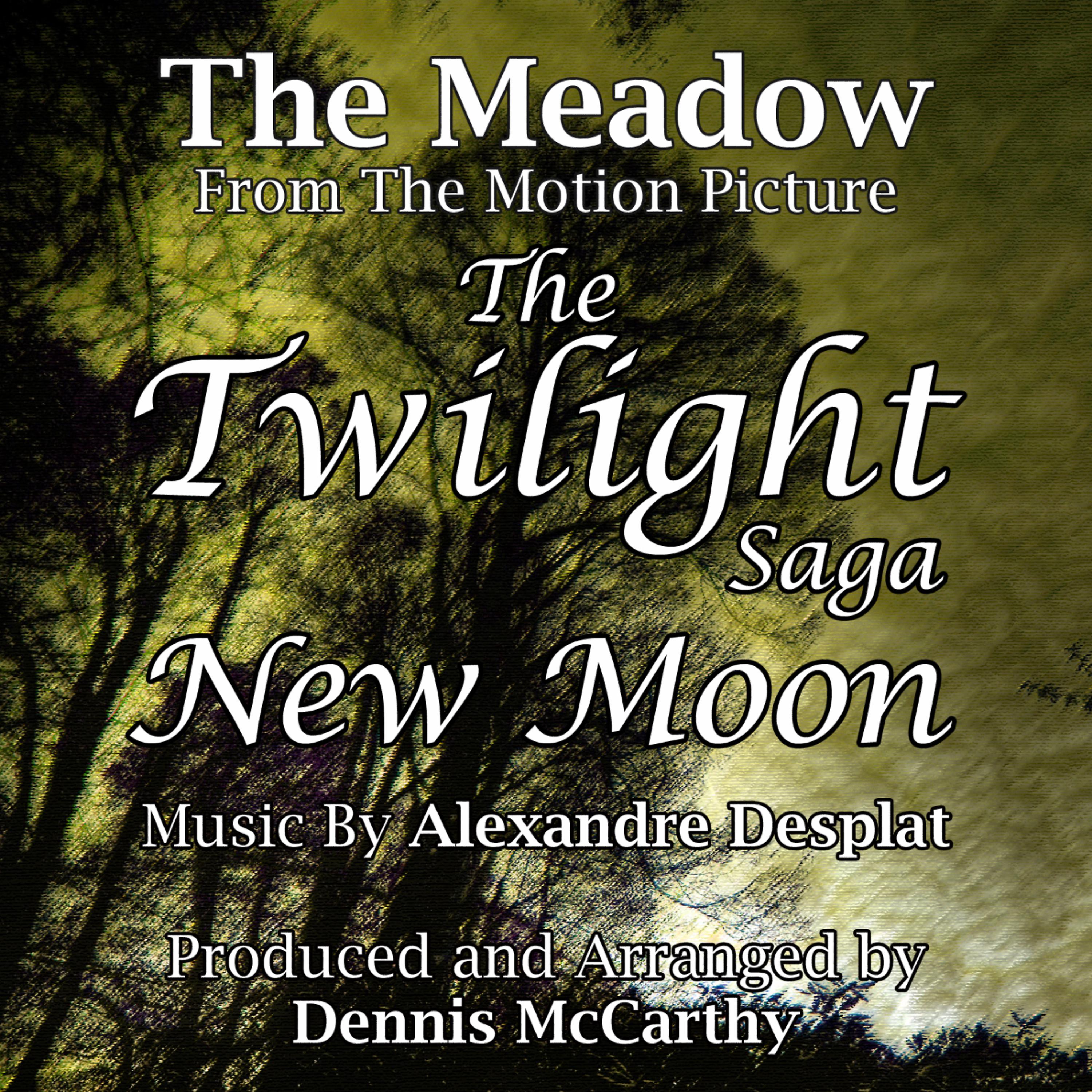 Постер альбома The Meadow - From ''The Twilight Saga: New Moon'' (Alexandre Desplat) single