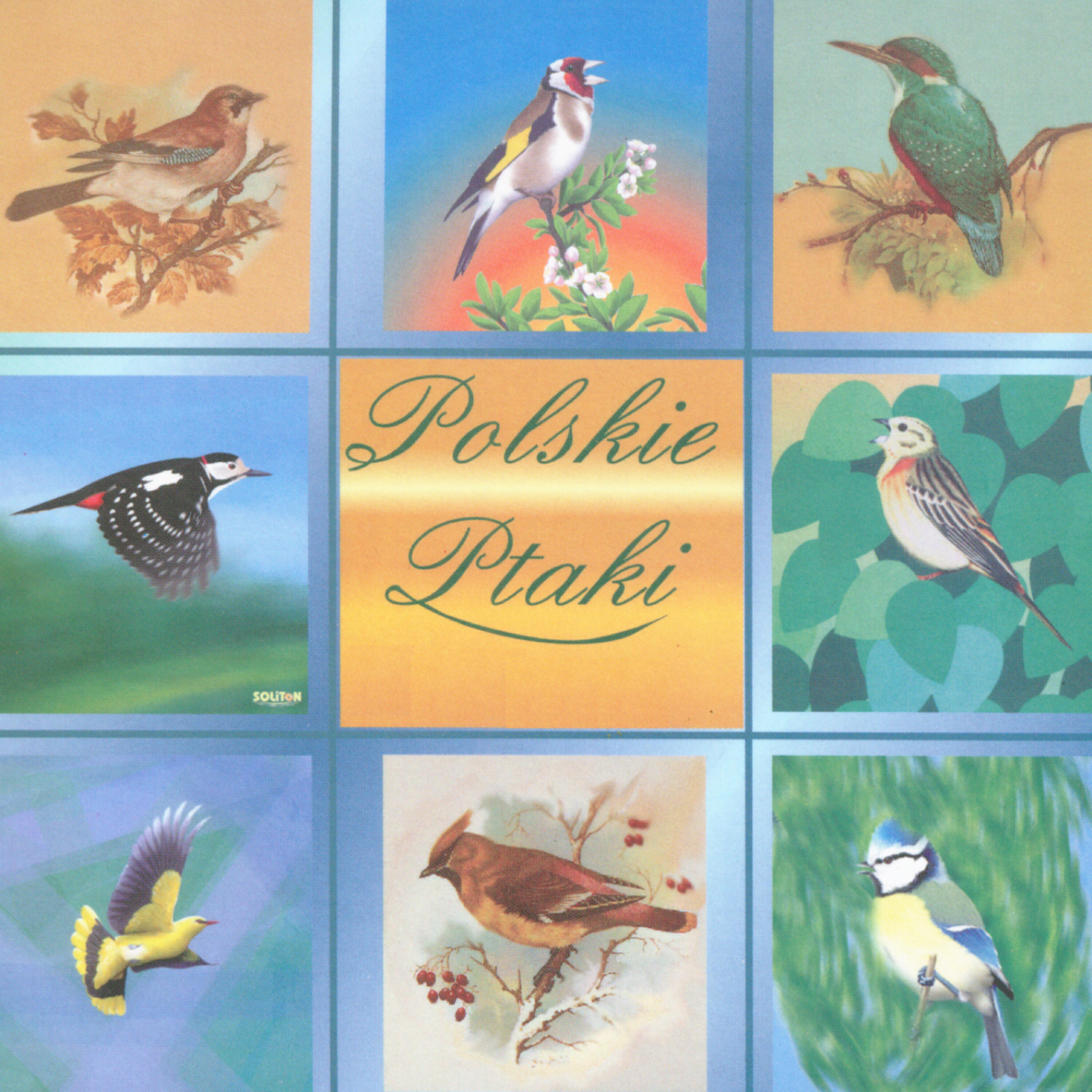 Polskie Ptaki - Bird sounds - Grasshopper