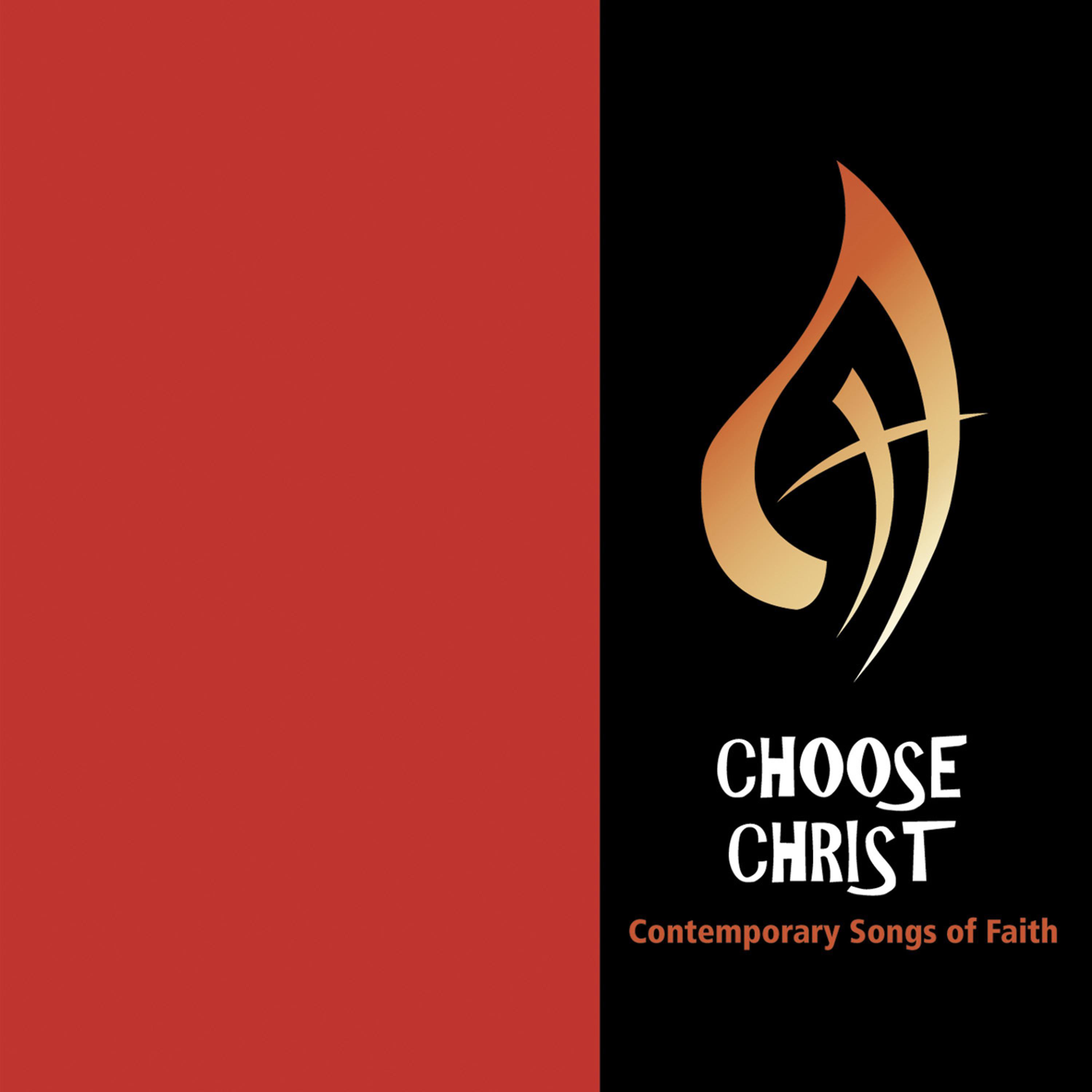 Постер альбома Choose Christ 2009, Vol. 3