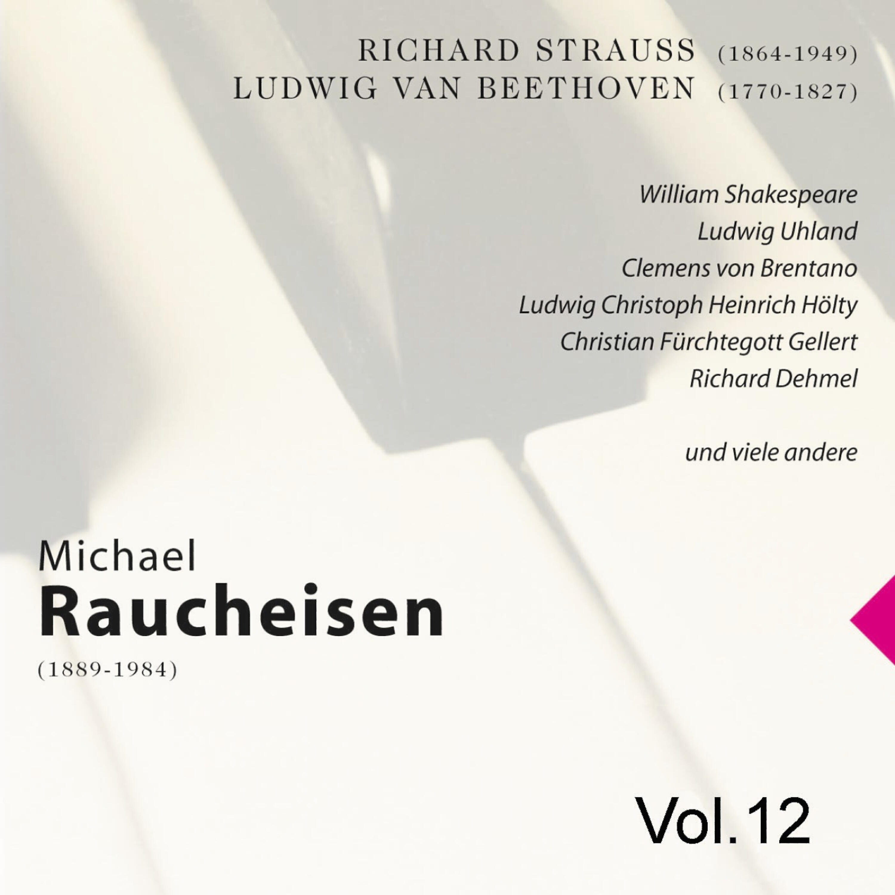 Michael Raucheisen - Das Deutsche Lied: Freundliche Vision,  op. 48 Nr. 1