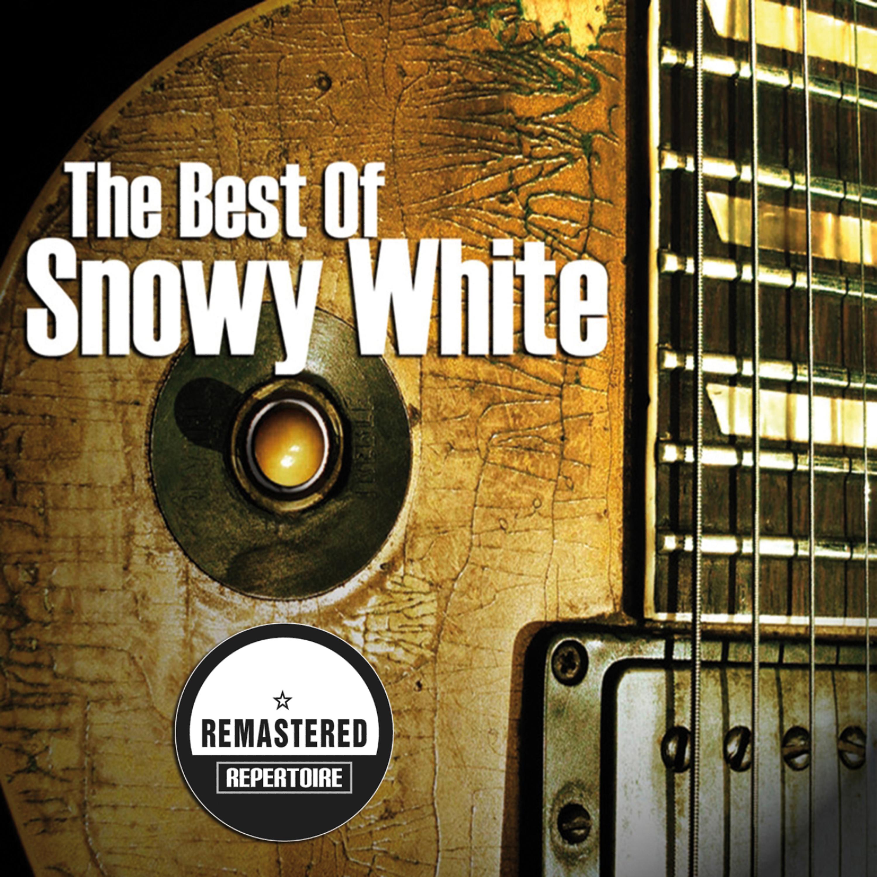 Постер альбома The Best Of Snowy White (Remastered)
