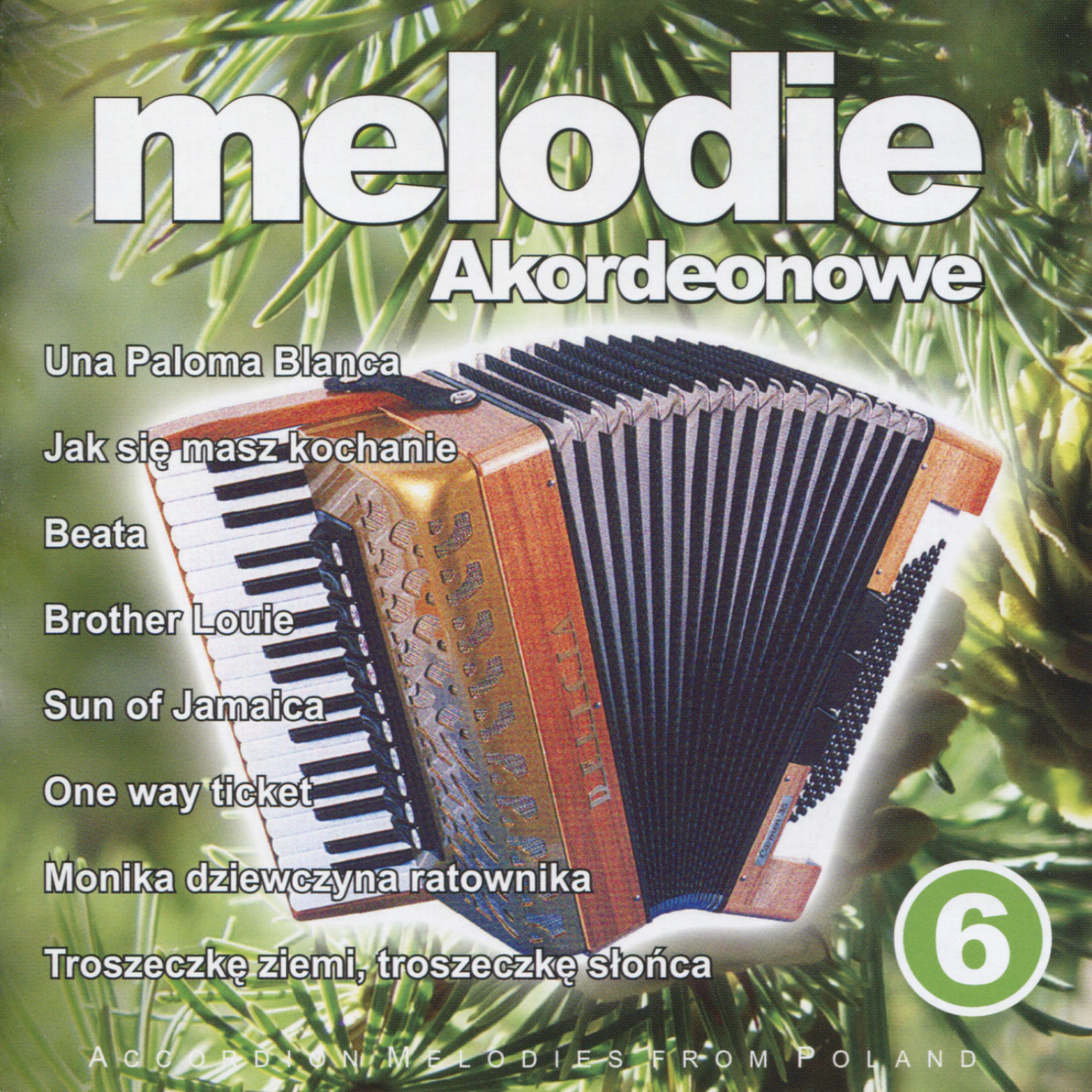 Постер альбома Jak sie masz kochanie - Accordion Melodies from Poland