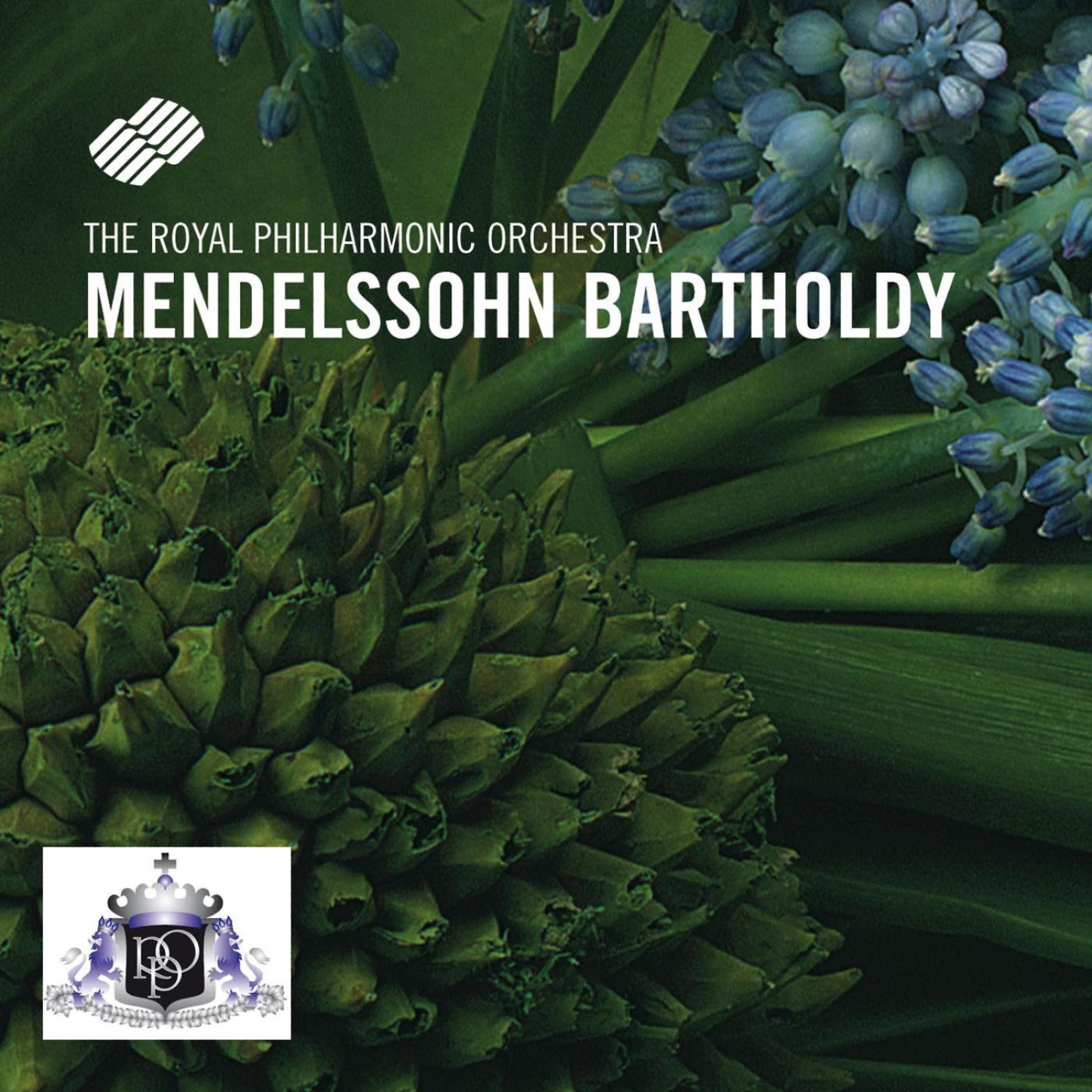 Постер альбома Felix Mendelssohn Bartholdy