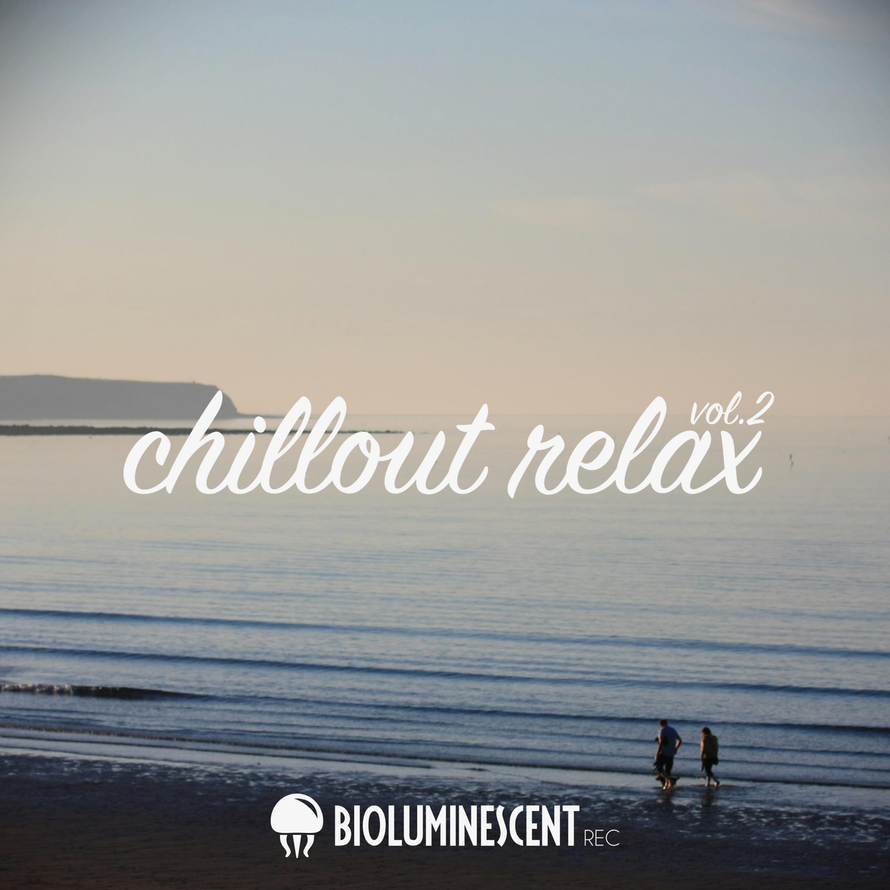 Постер альбома Chillout Relax Vol. 2