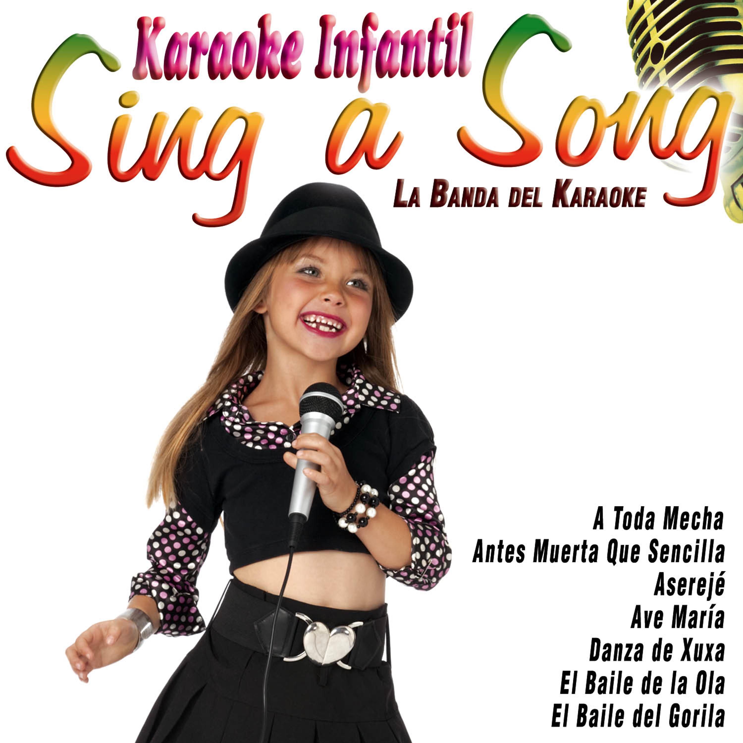 Постер альбома Sing a Song Karaoke Infantil