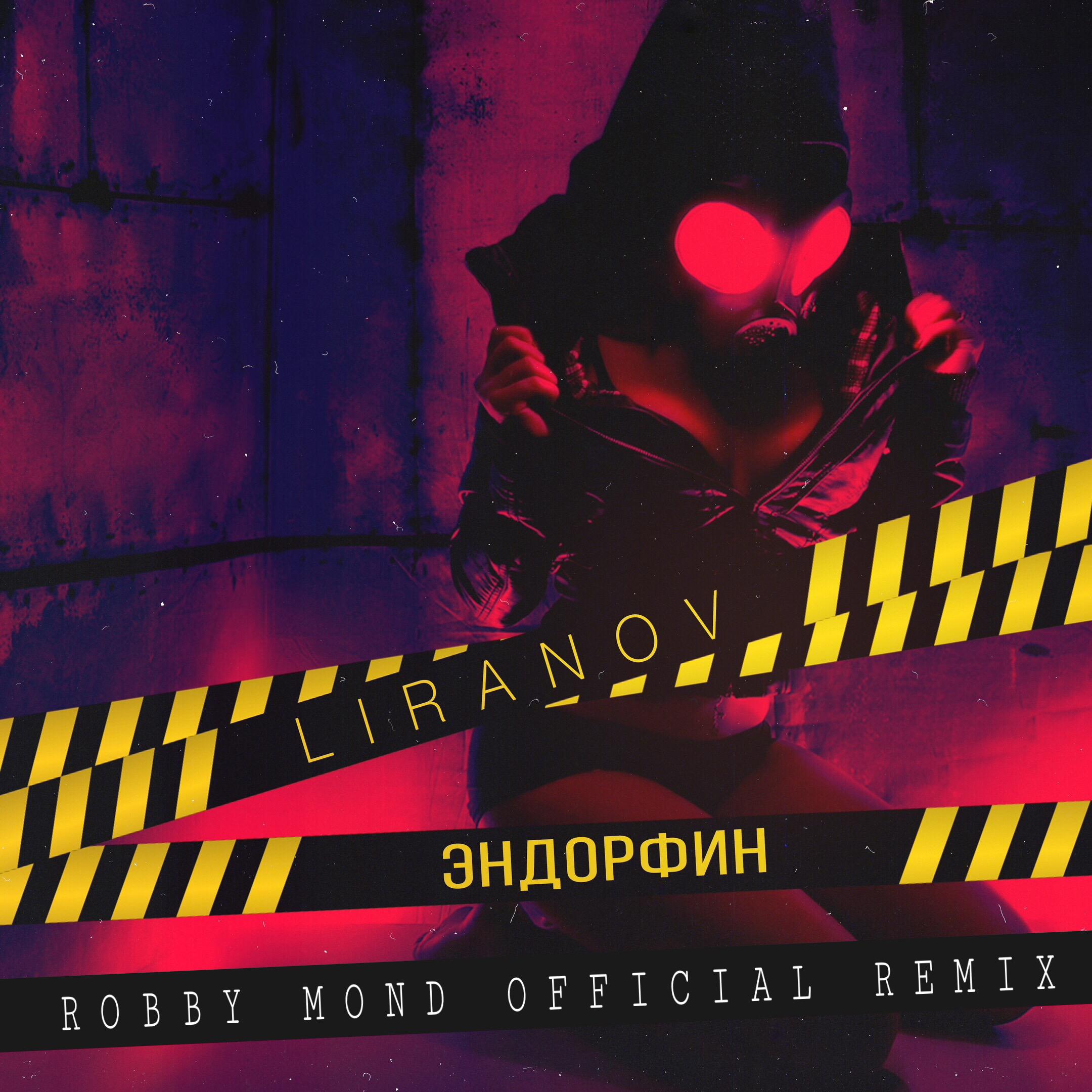 Постер альбома Эндорфин (Robby Mond Remix)