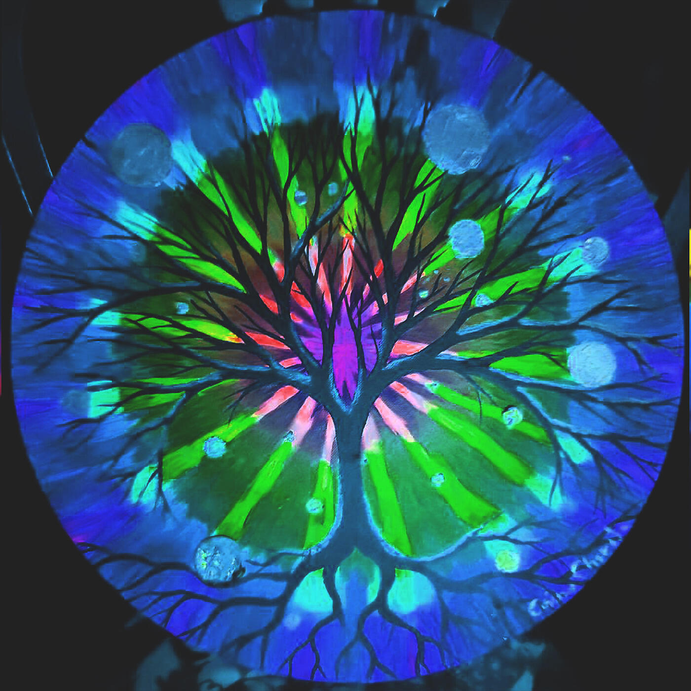 Blissful Chakra - Enlightenment