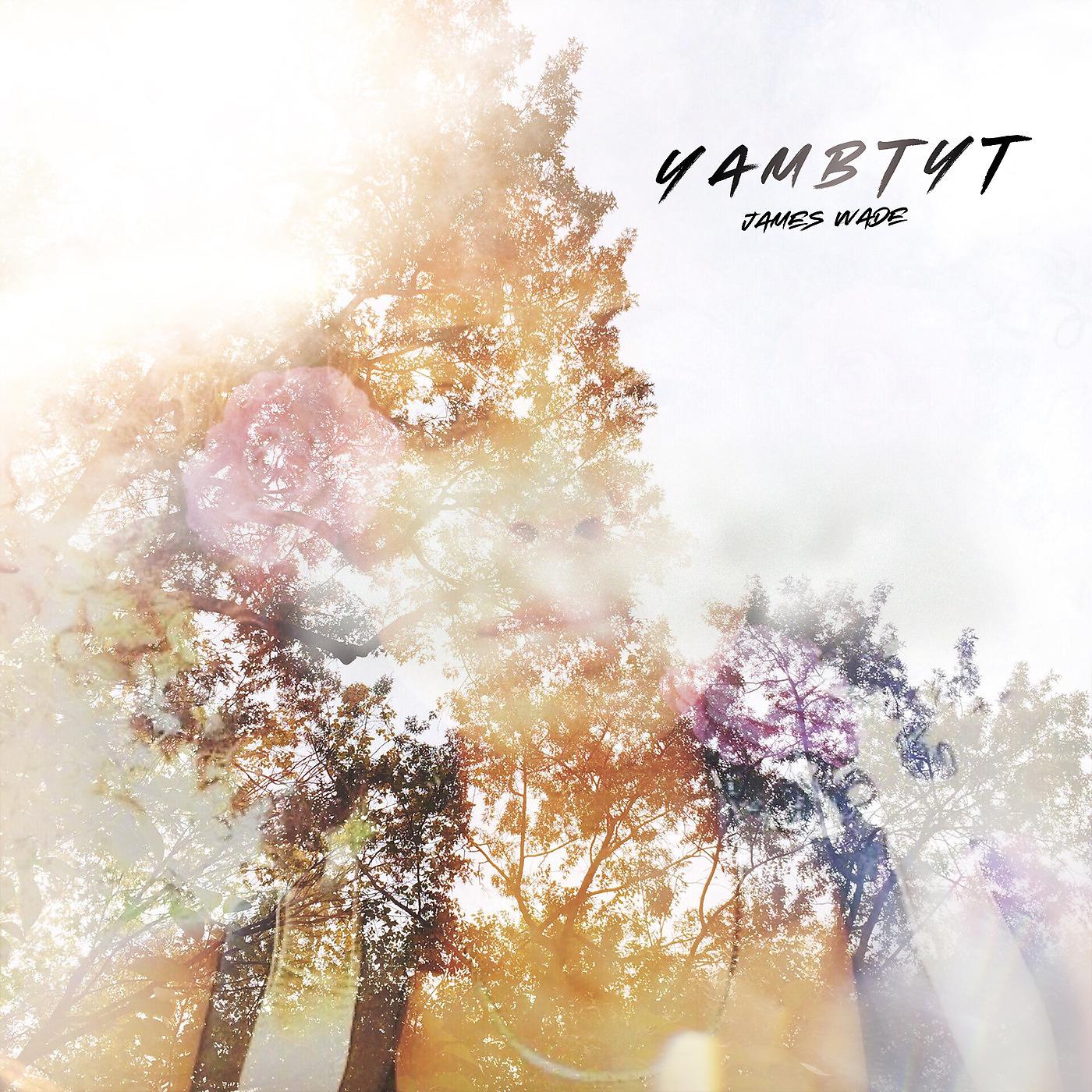 Постер альбома Yambtyt