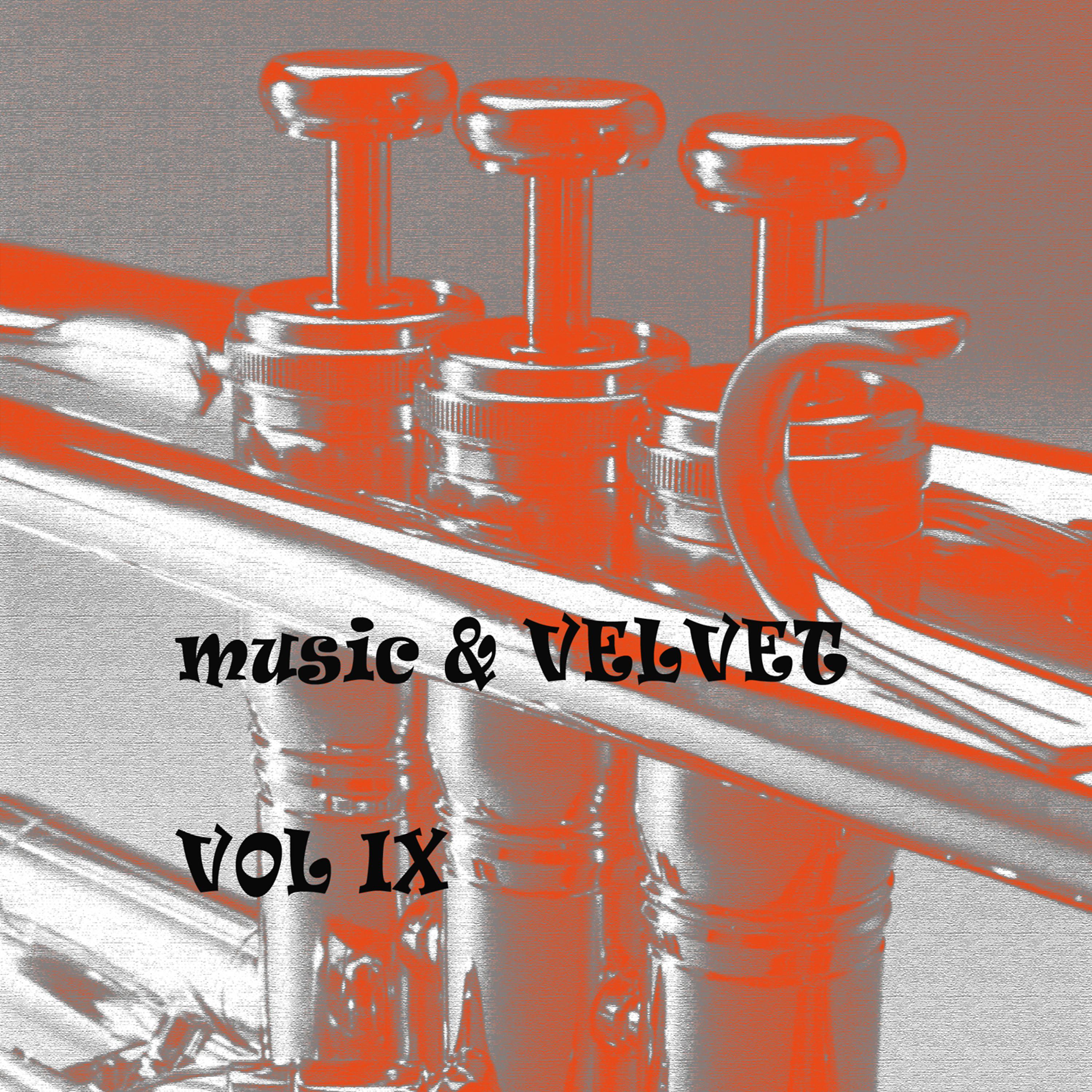 Постер альбома Music & Velvet  Vol. IX