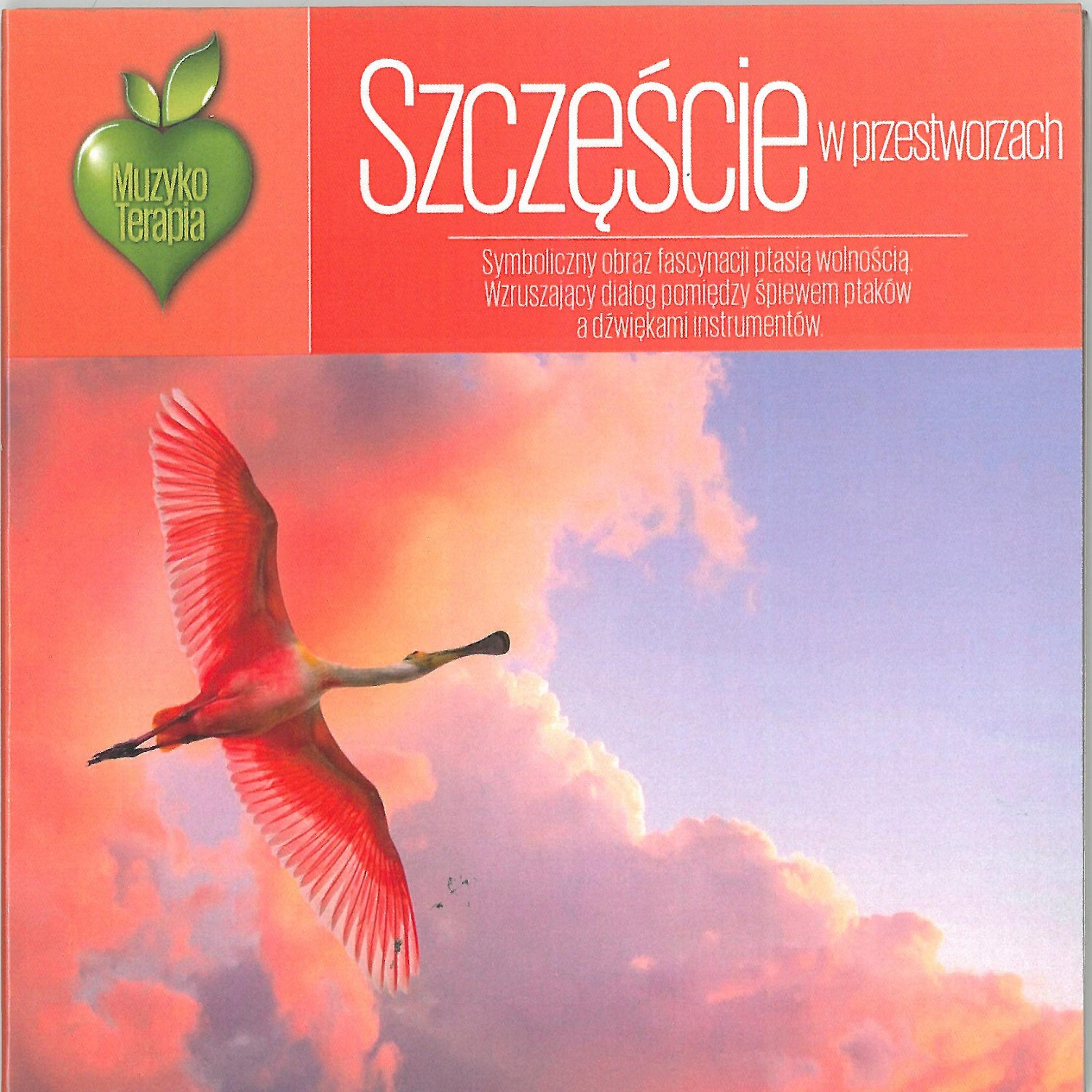 Постер альбома Muzykoterapia - Szczescie w przestworzach