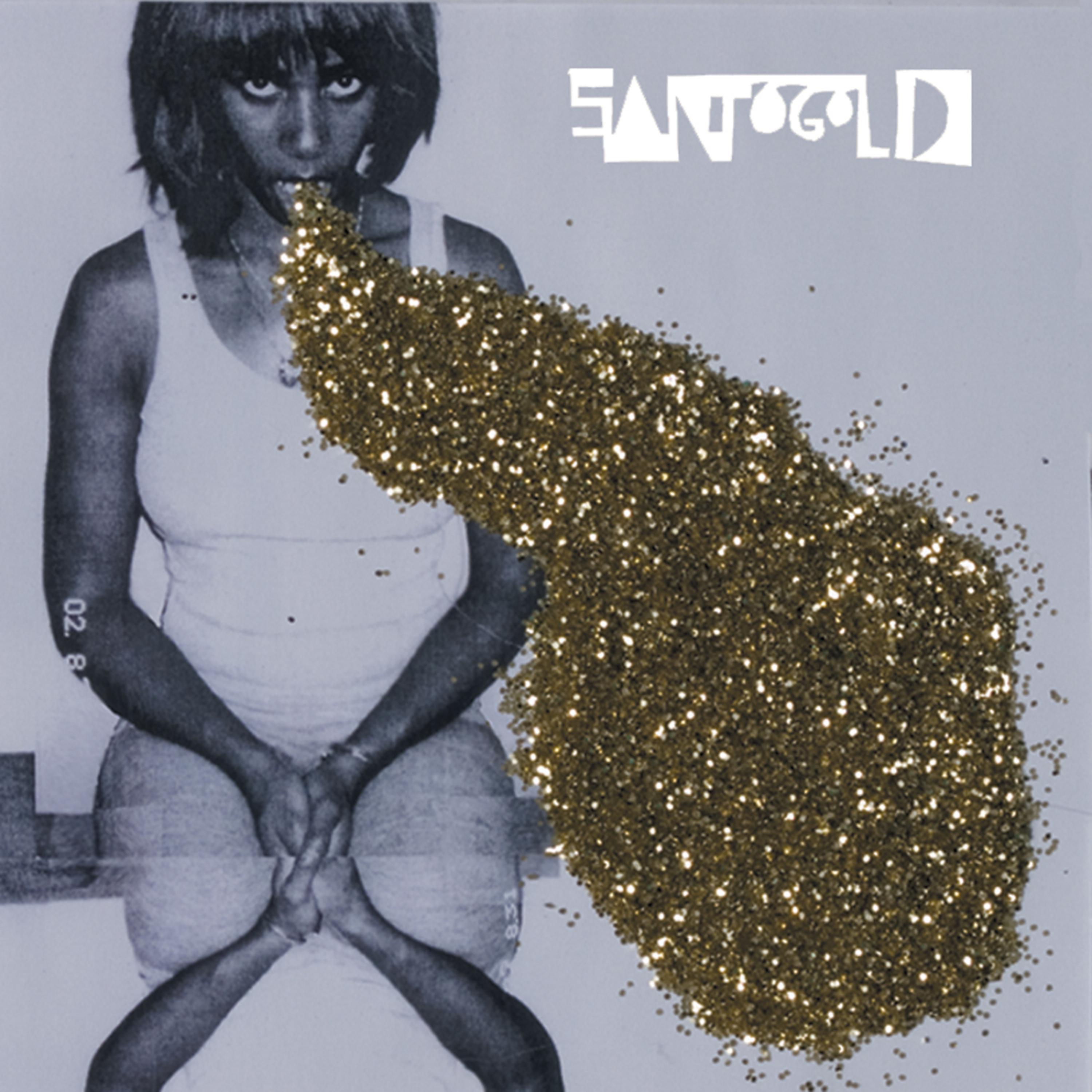 Постер альбома Santigold