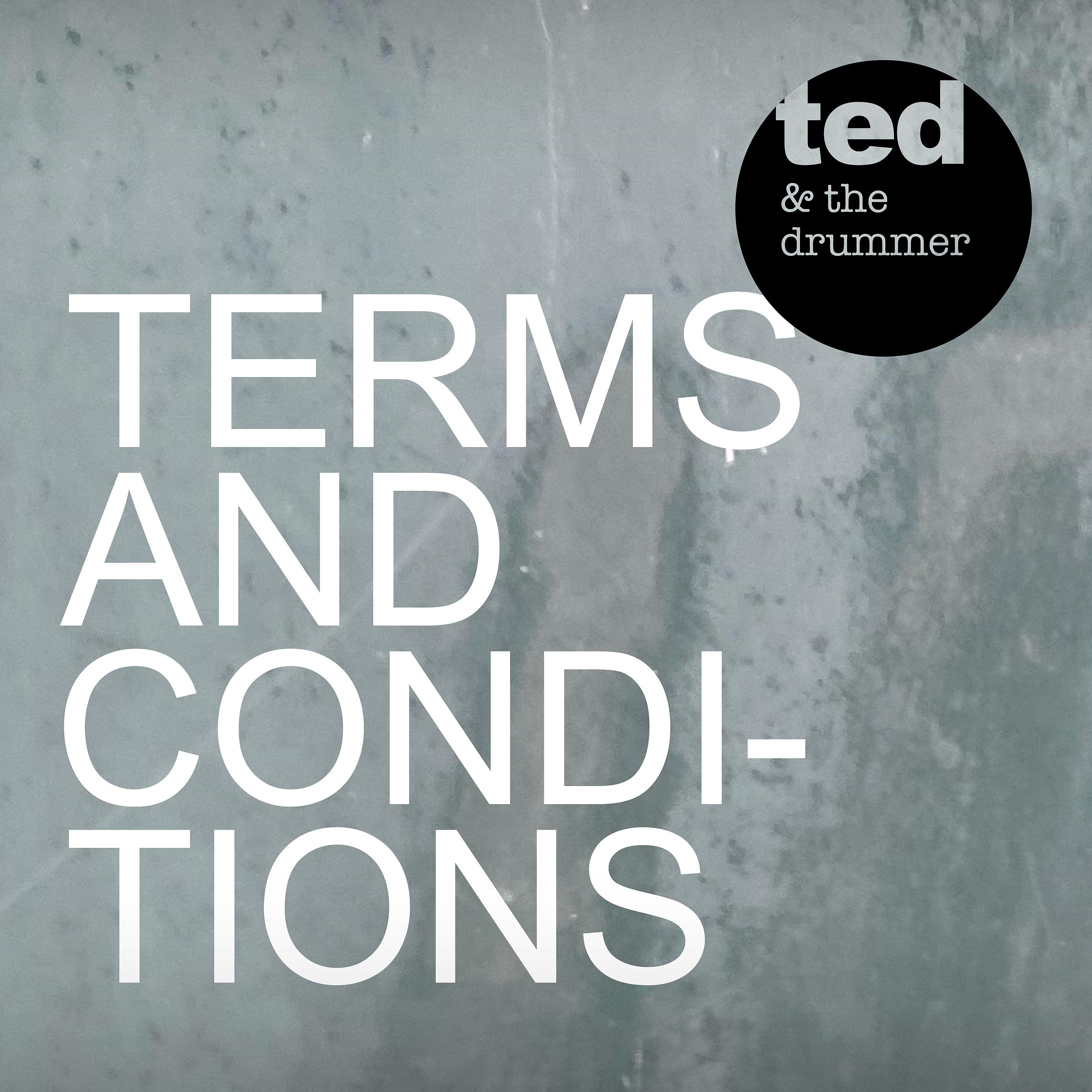 Постер альбома Terms and Conditions (Single Edit)