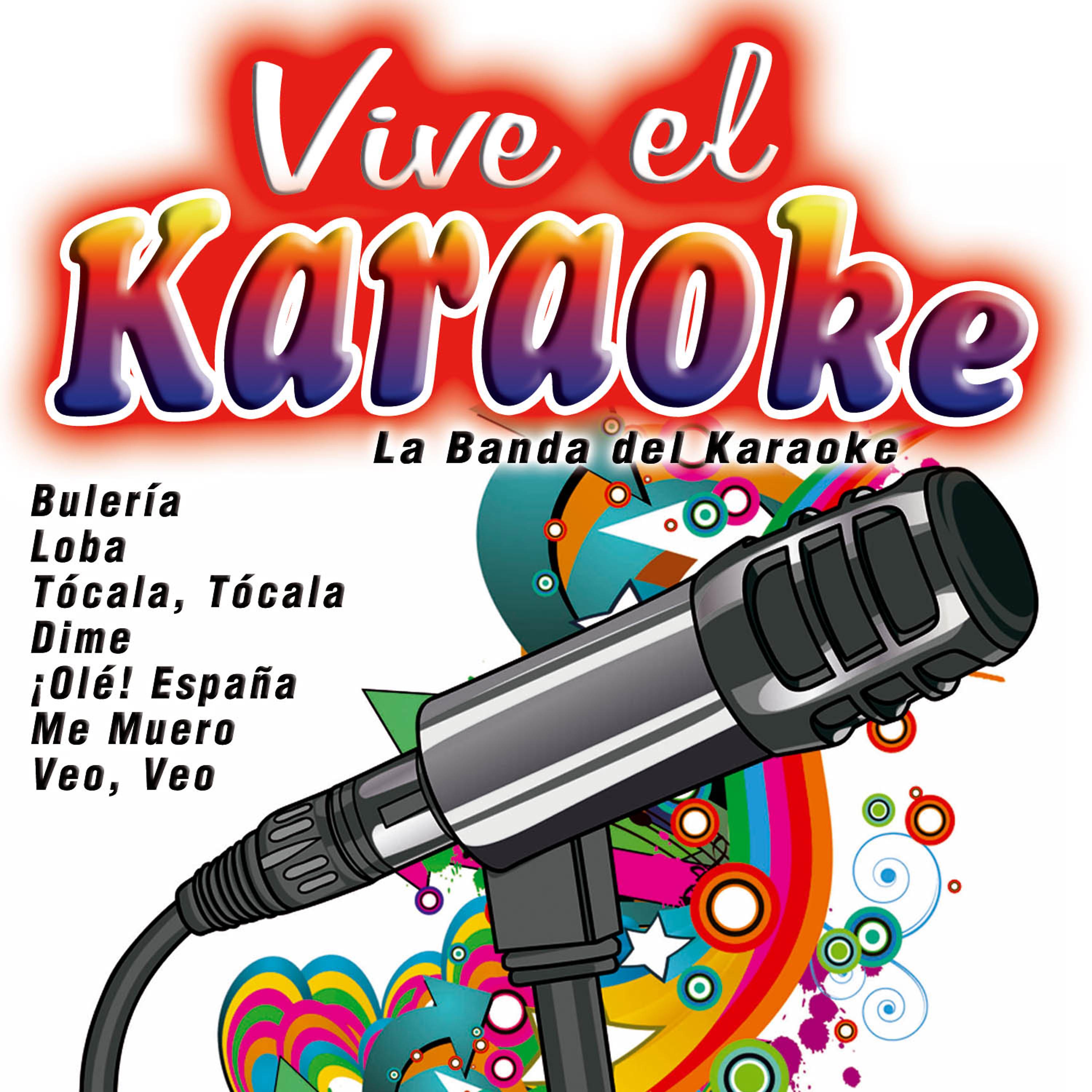 Постер альбома Vive el Karaoke