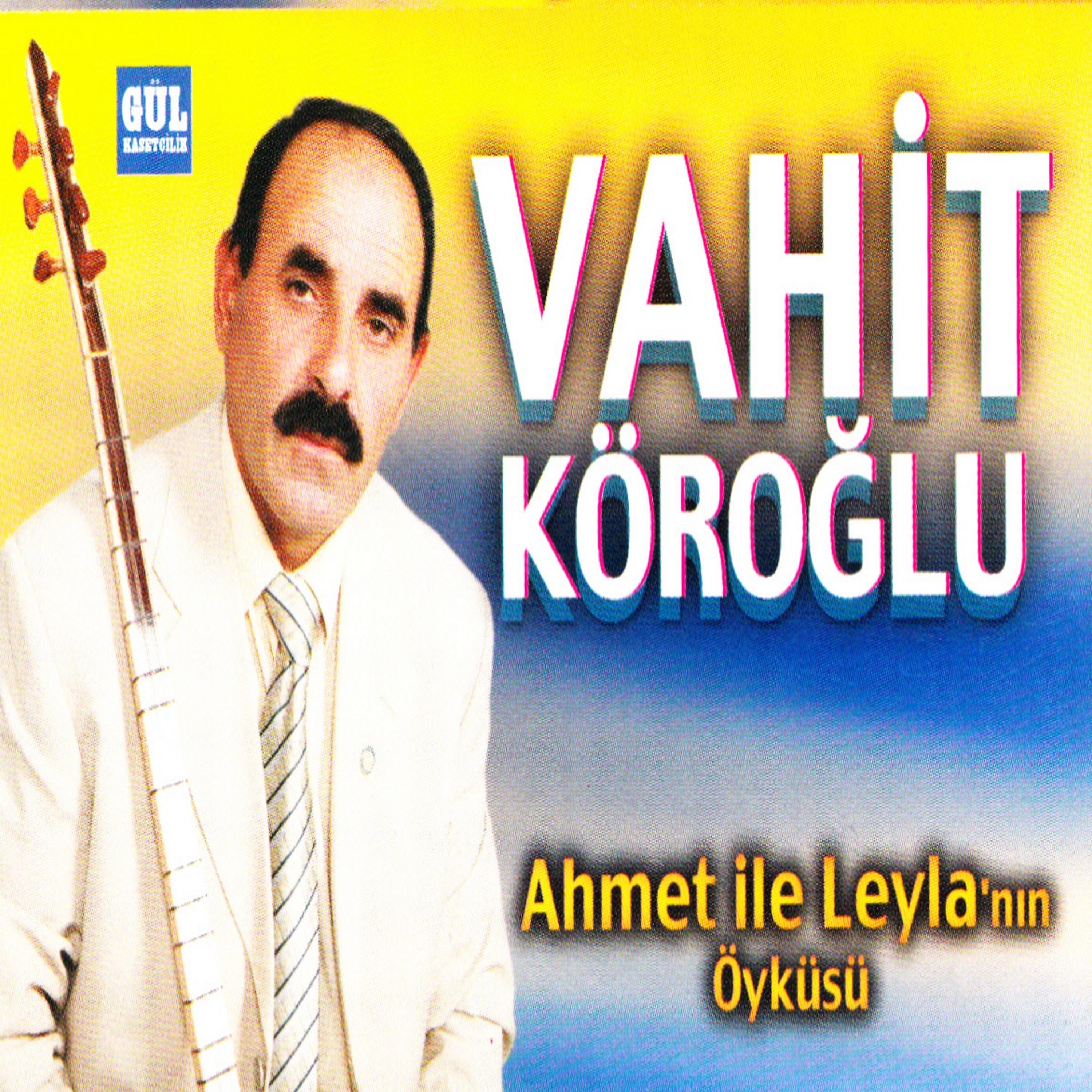 Постер альбома Ahmet ile Leylanın Öyküsü