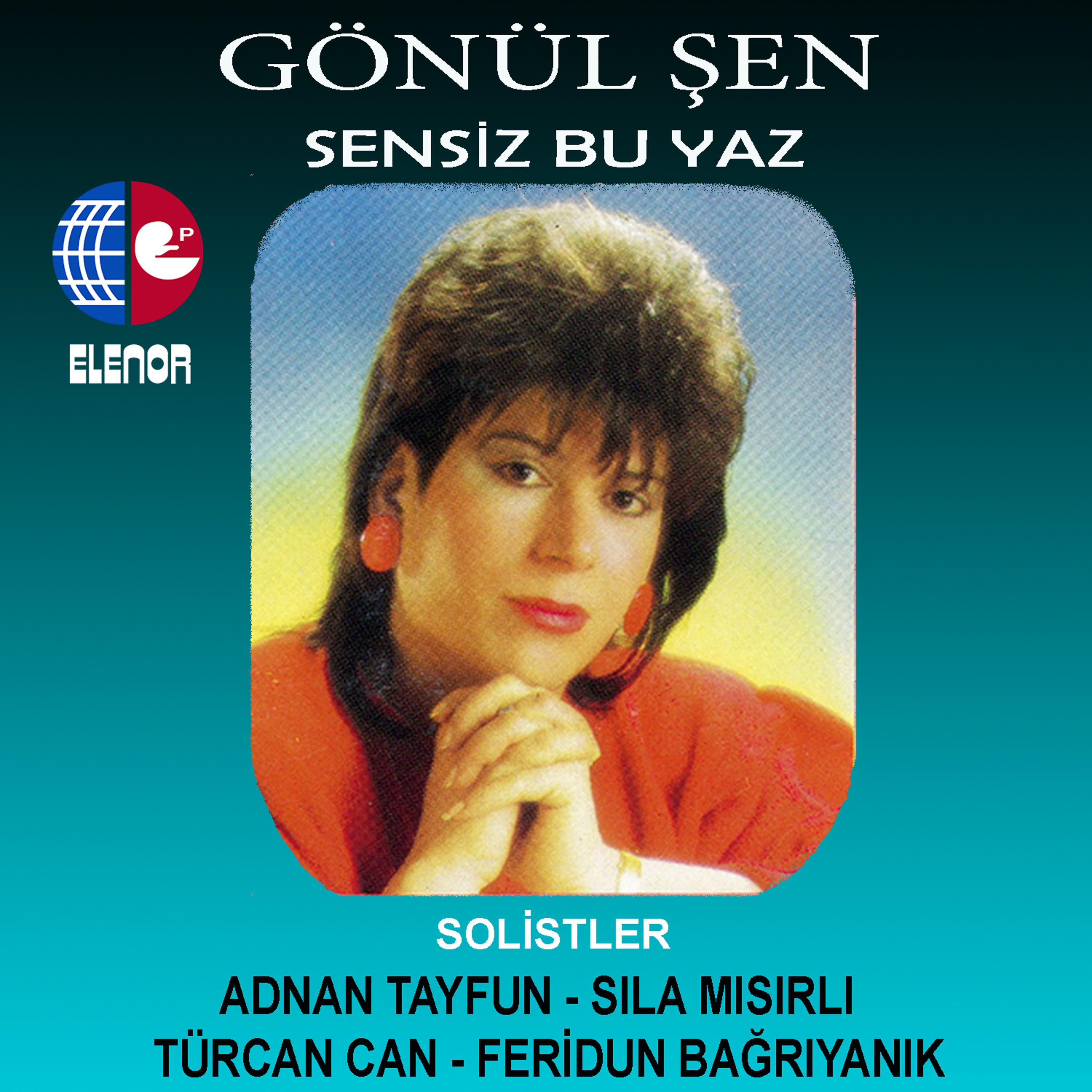 Постер альбома Sensiz Bu Yaz