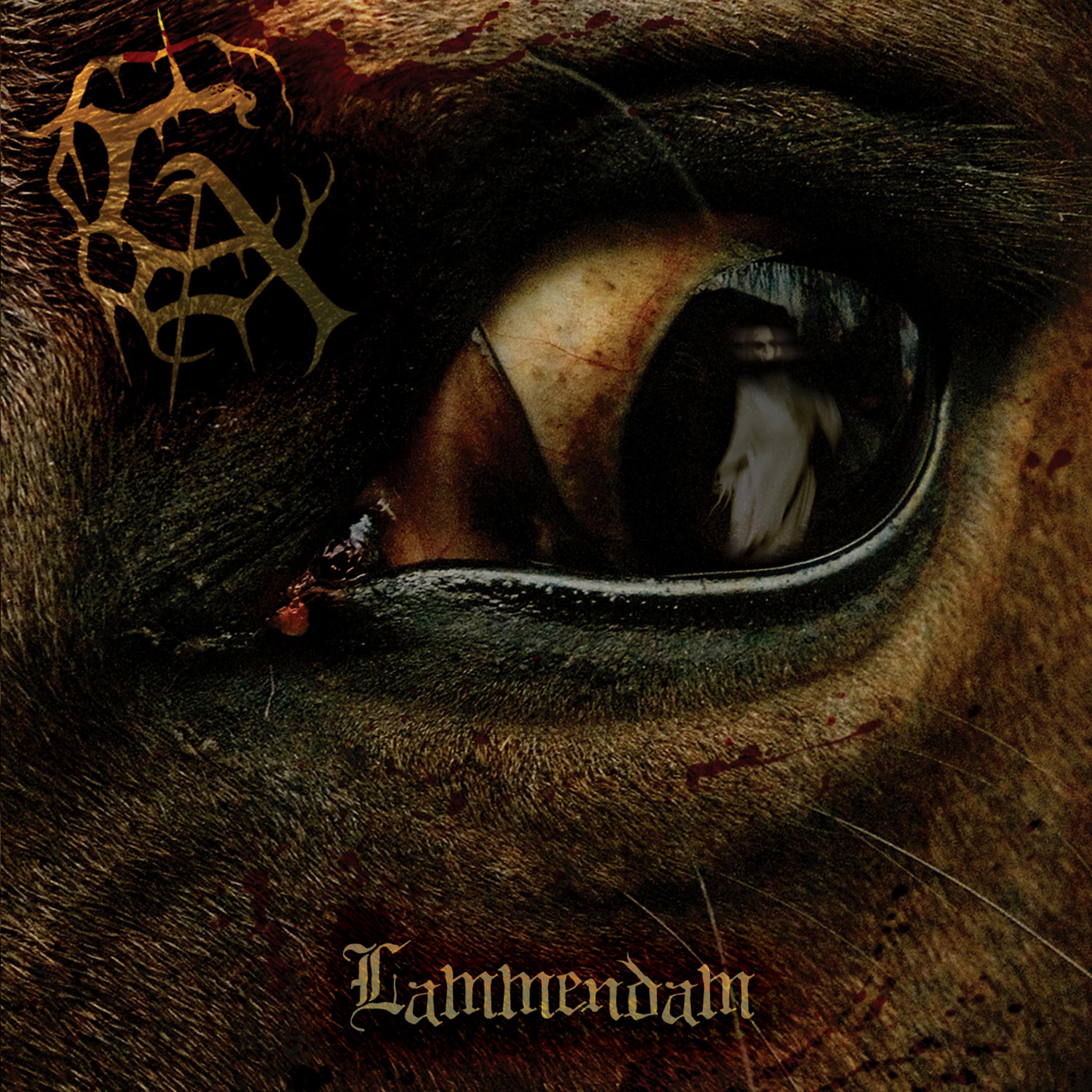 Постер альбома Lammendam