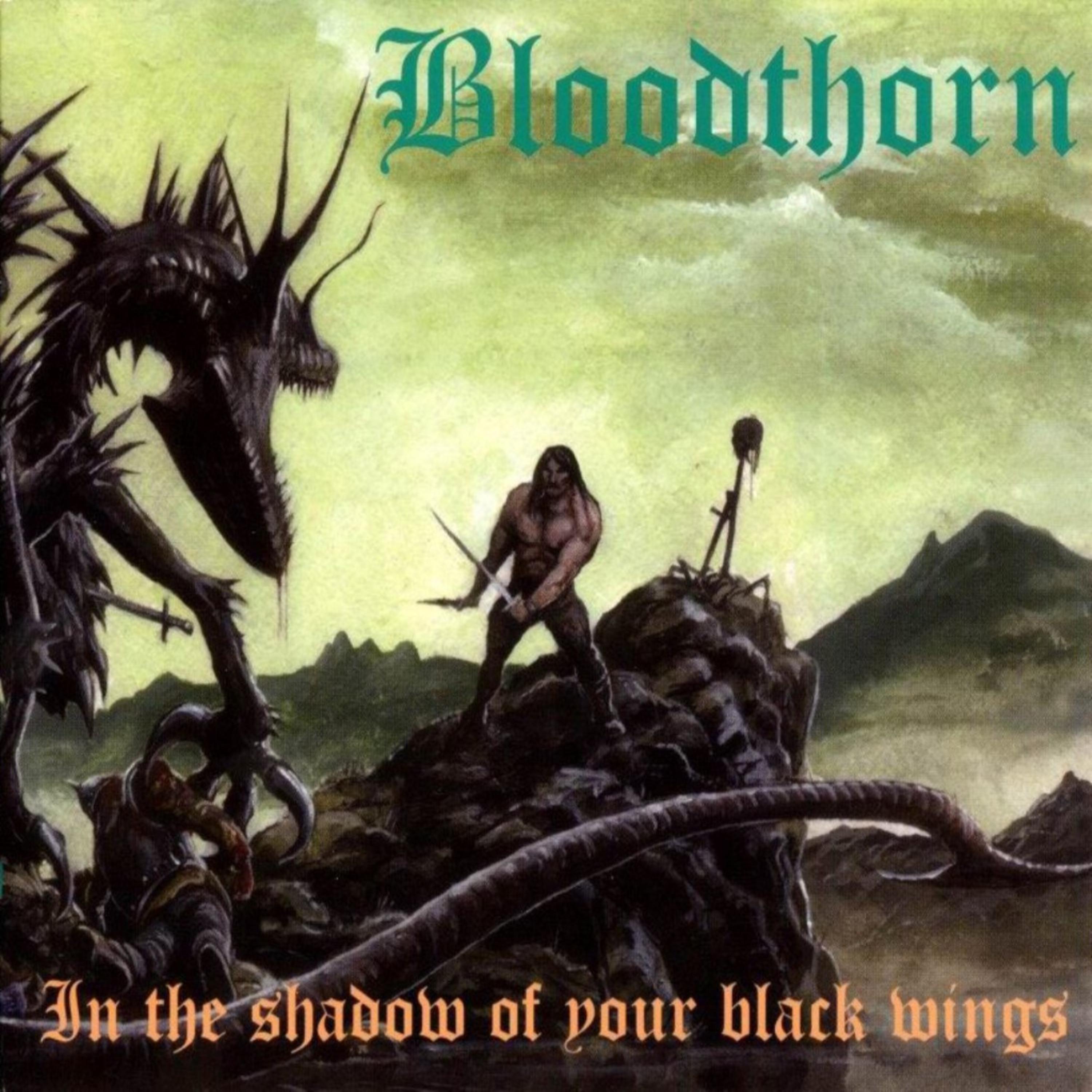 Постер альбома In the Shadow of Your Black Wings