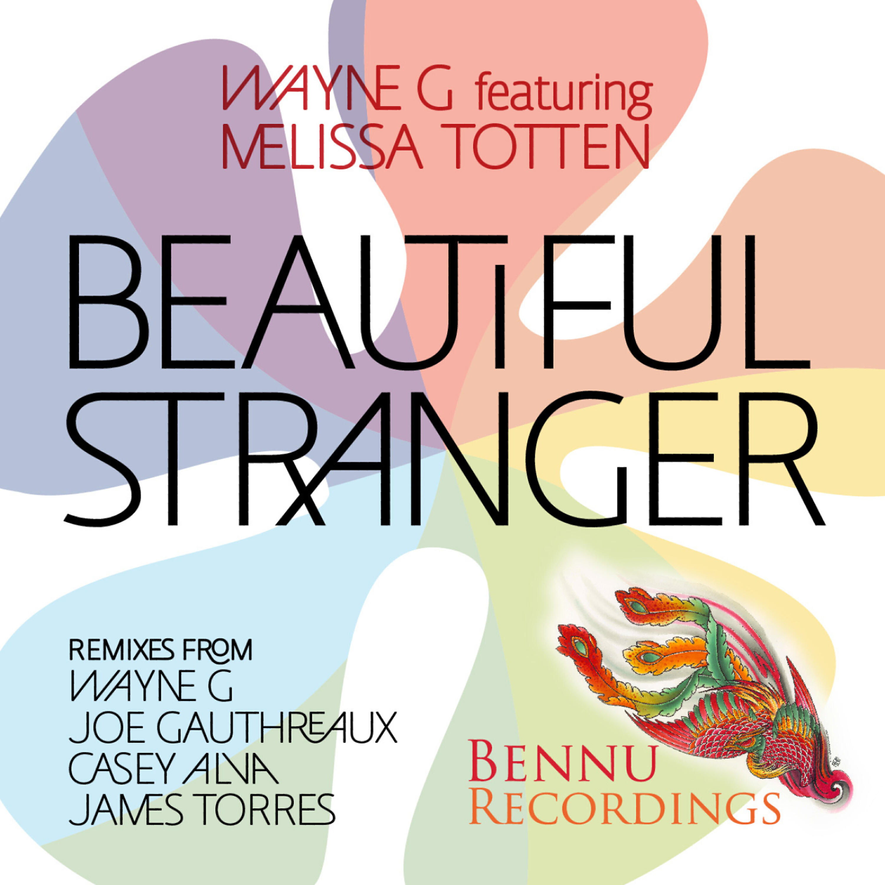 Melissa Totten - Beautiful Stranger (feat. Melissa Totten) (Wayne G & Andy Allder Vocal Dub Mix)