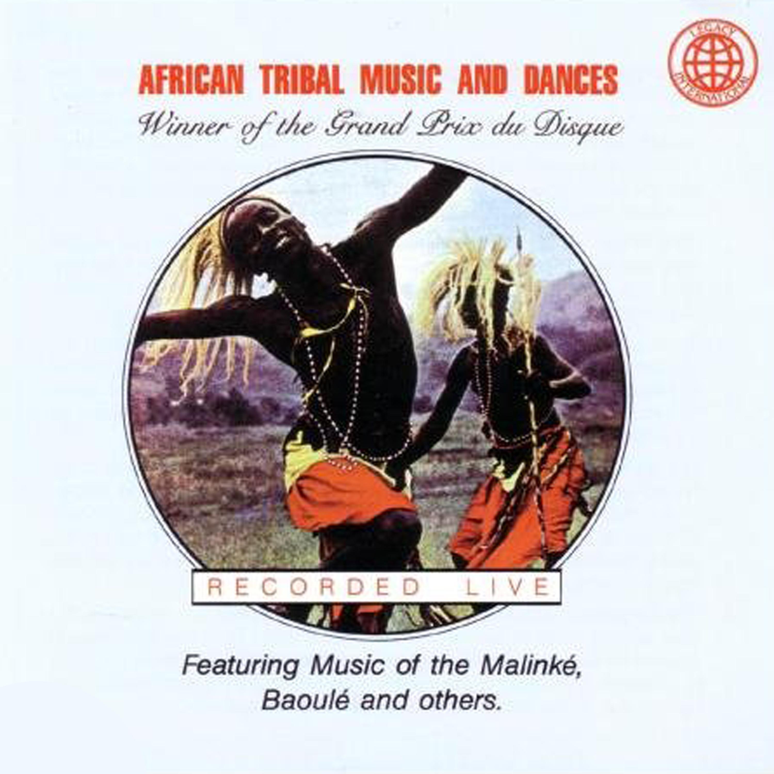 Постер альбома African Tribal Music and Dances: Tribal Music on Location