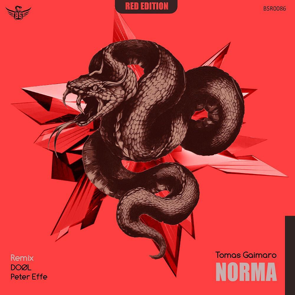 Tomas Gaimaro - Norma (Doøl Remix)