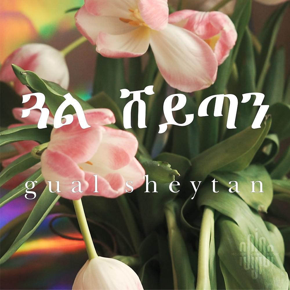 Постер альбома Gual Sheytan