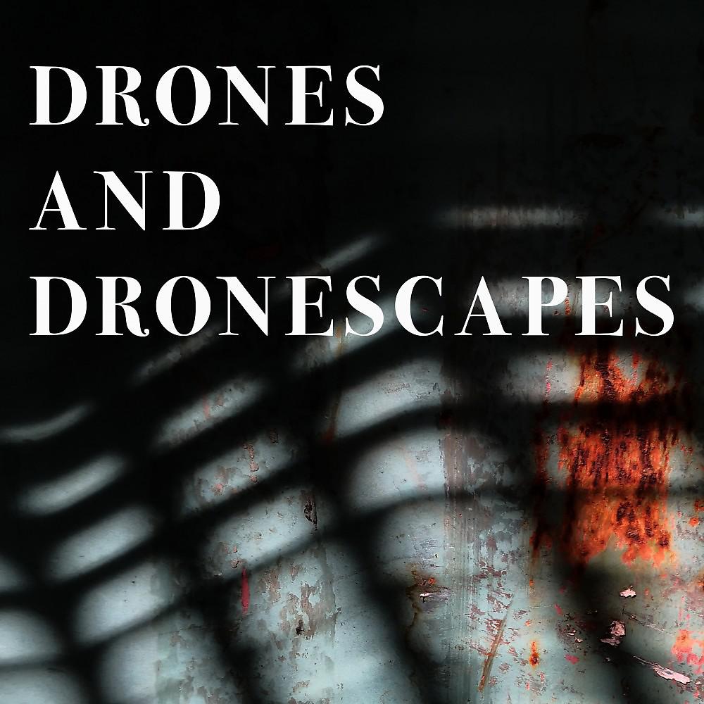 Постер альбома Drones and Dronescapes