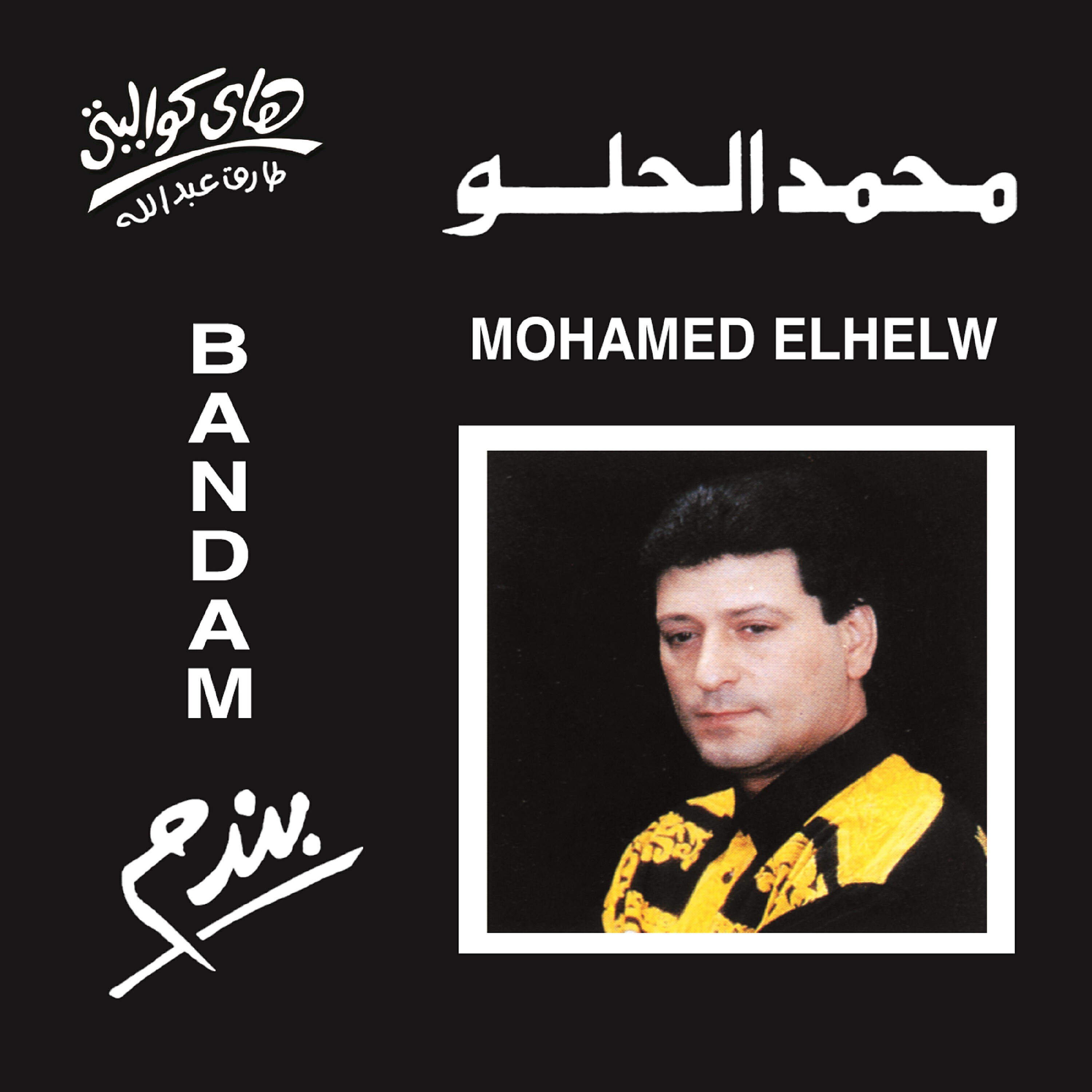 Mohamed El Helw - Amrak