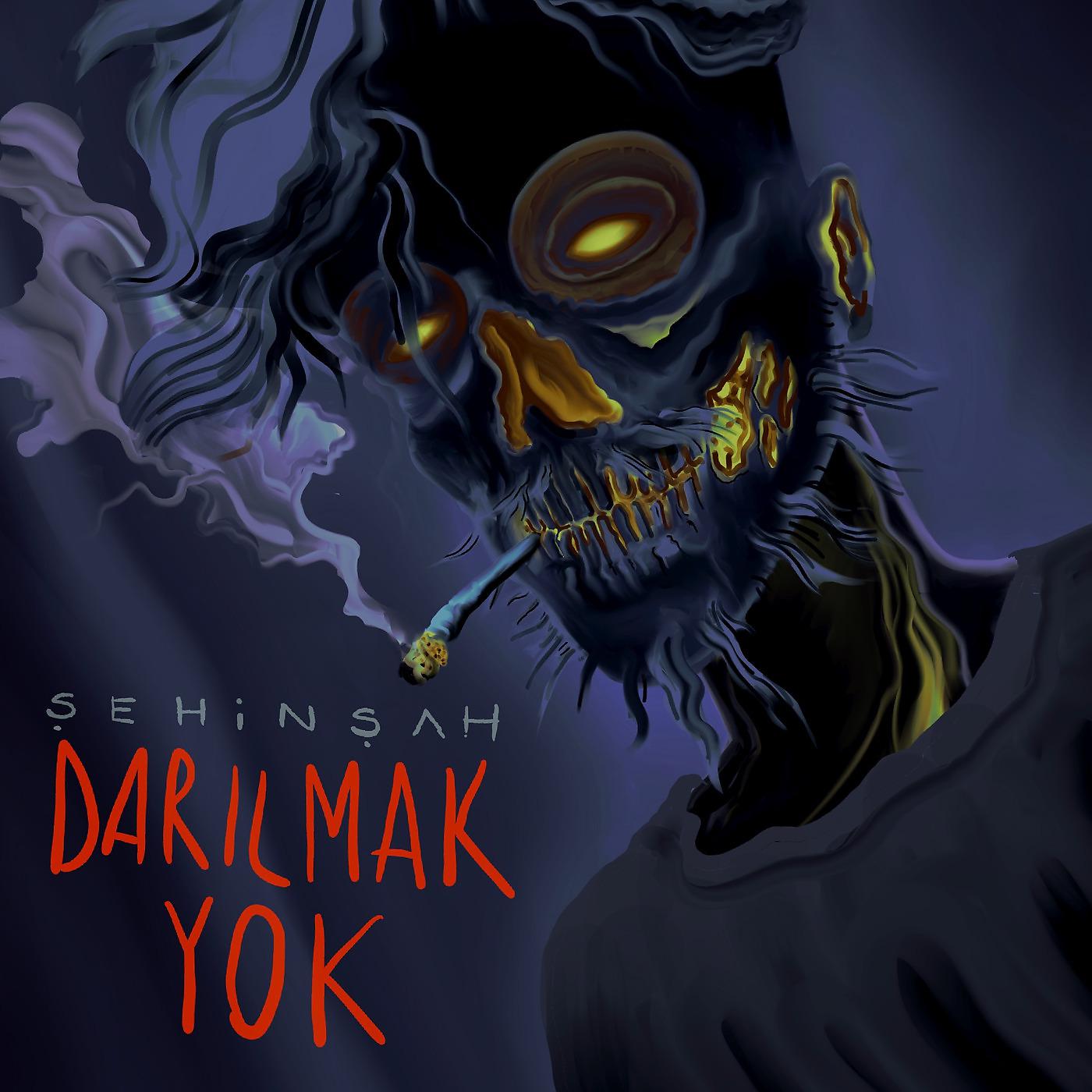Постер альбома Darilmak Yok