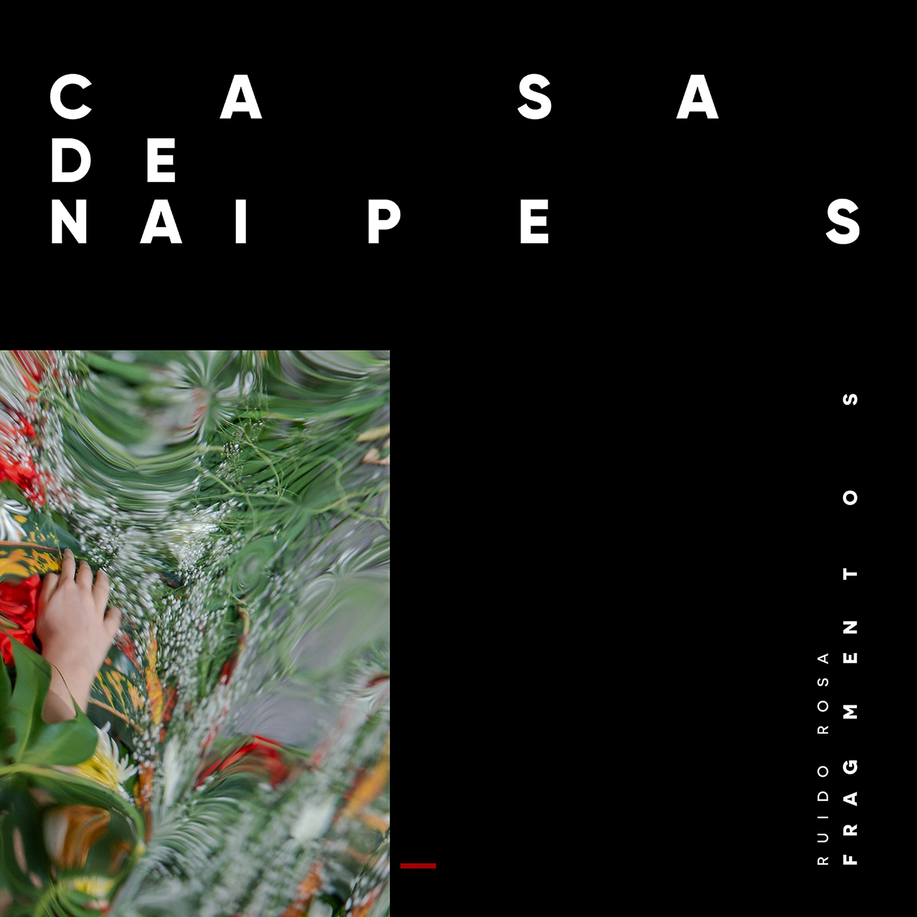 Постер альбома Casa de Naipes