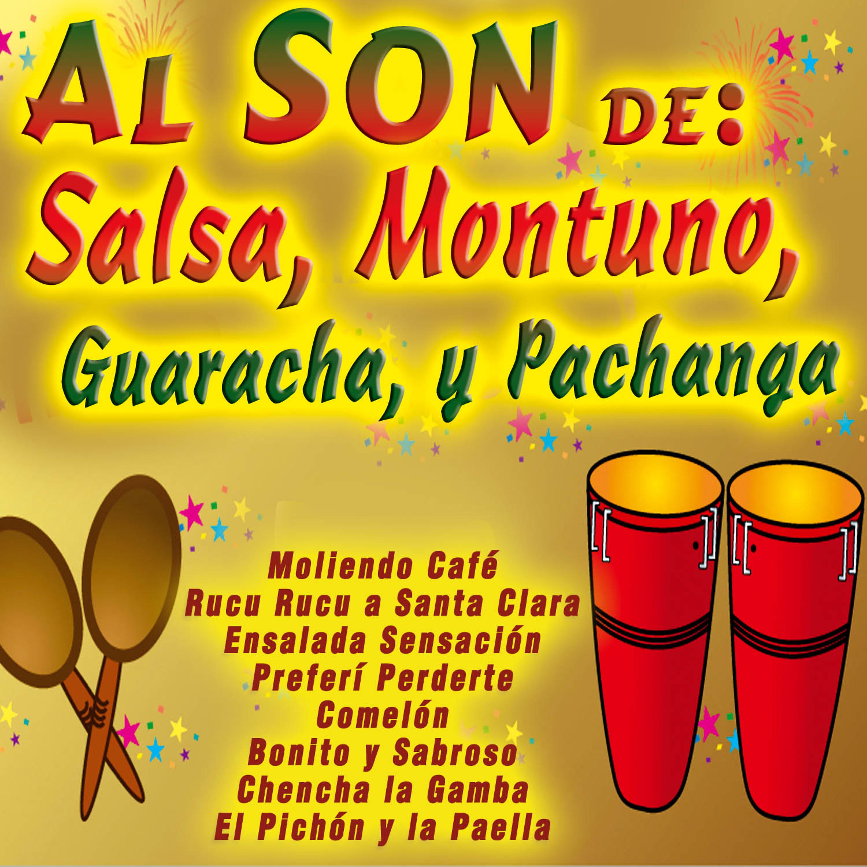 Постер альбома Al Son De: Salsa, Son, Bolero, Guaracha, Y Pachanga