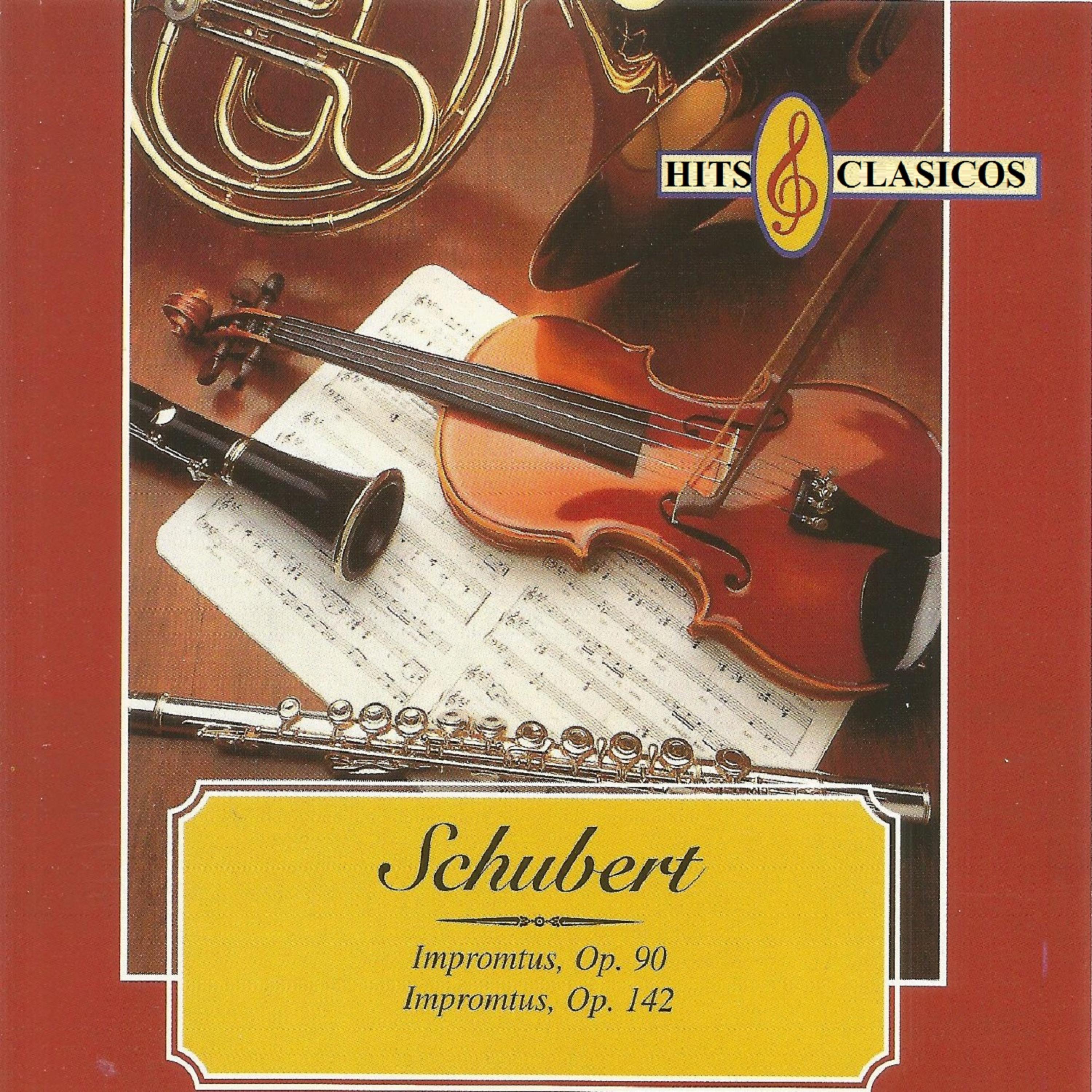 Постер альбома Hits Clasicos - Schubert