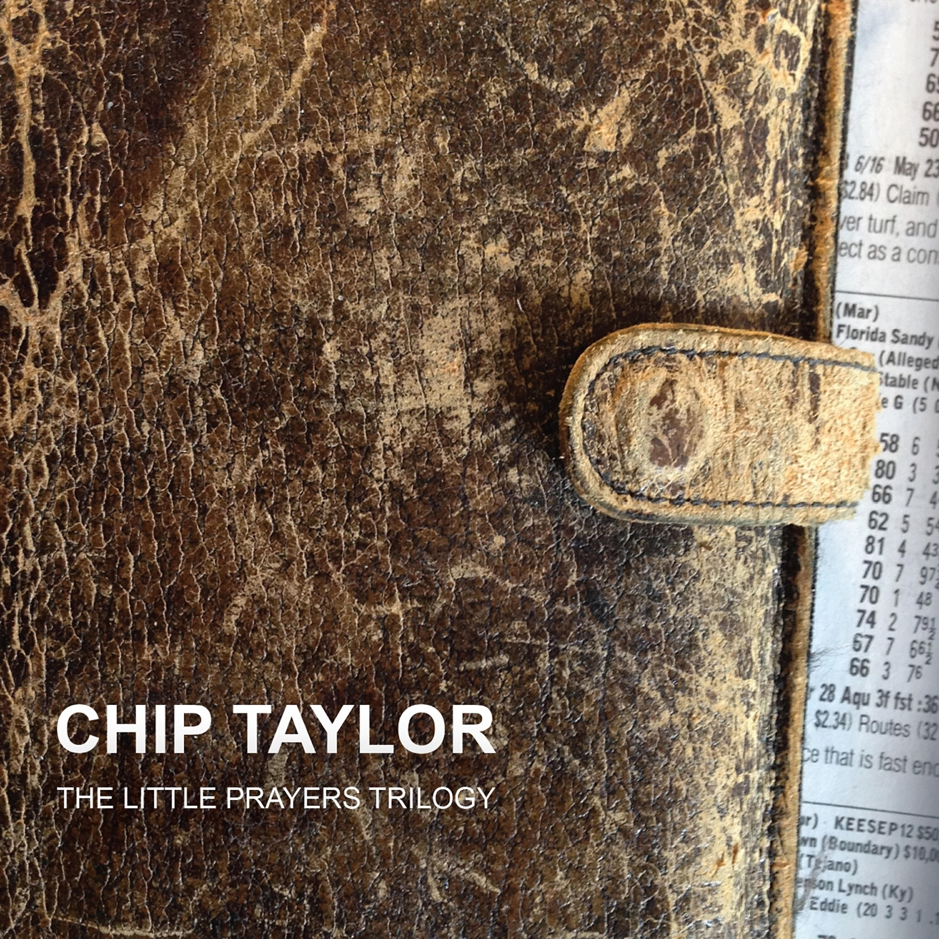 Chip Taylor - Reprise (Joan's Song)