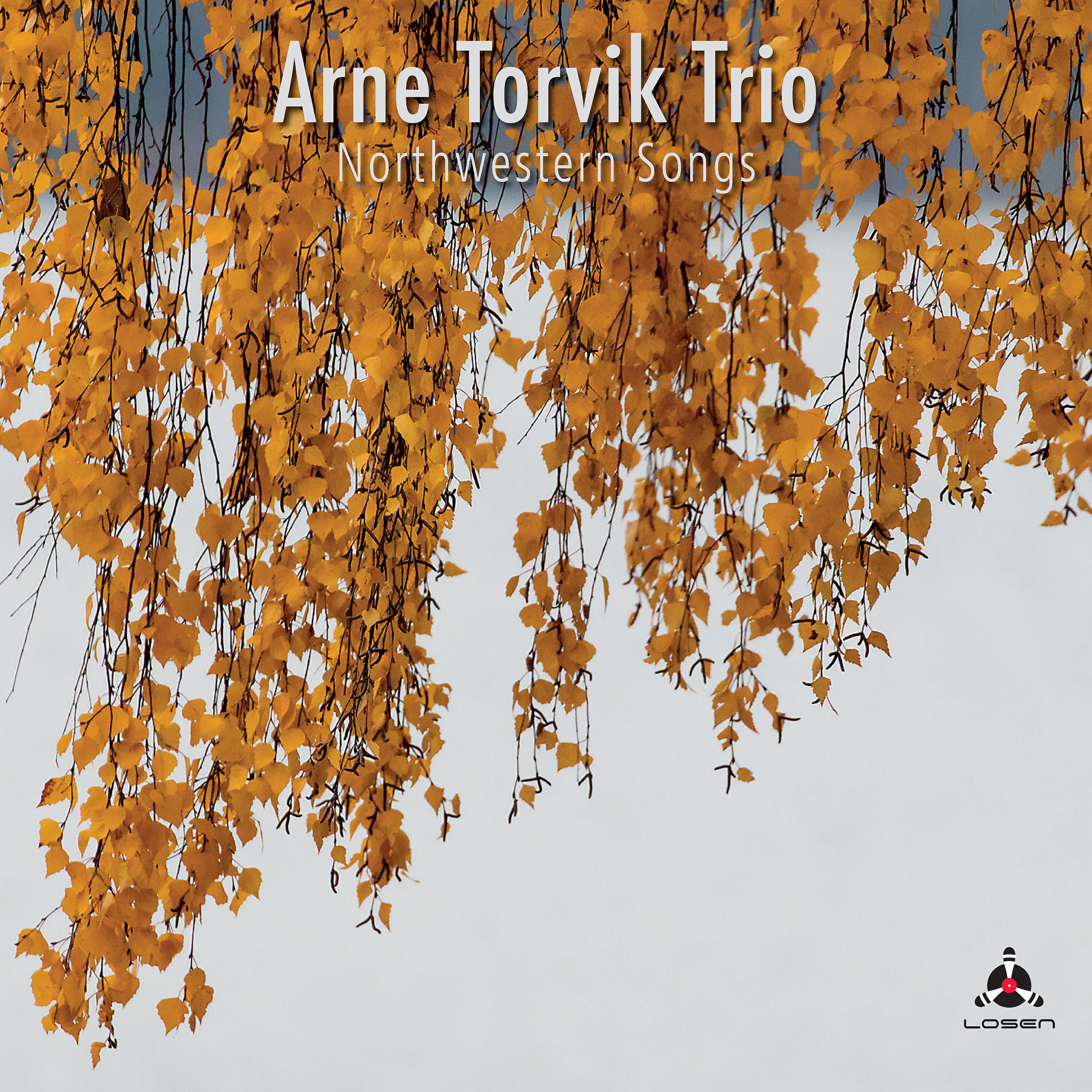 Arne Torvik - Åpent rom