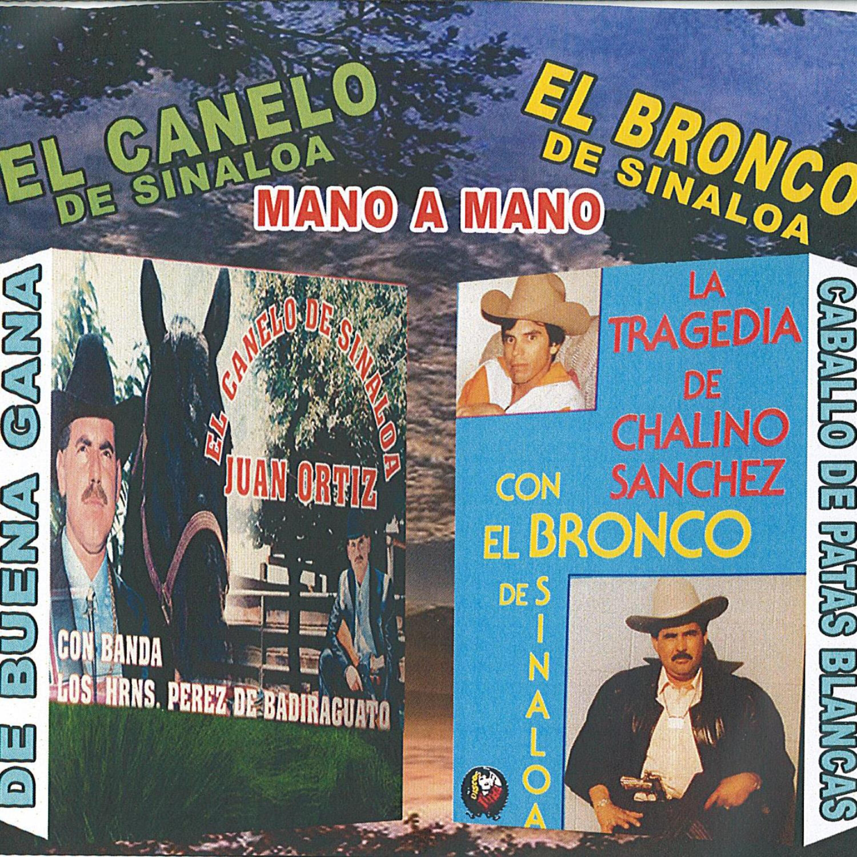El Bronco De Sinaloa - Dos Almas