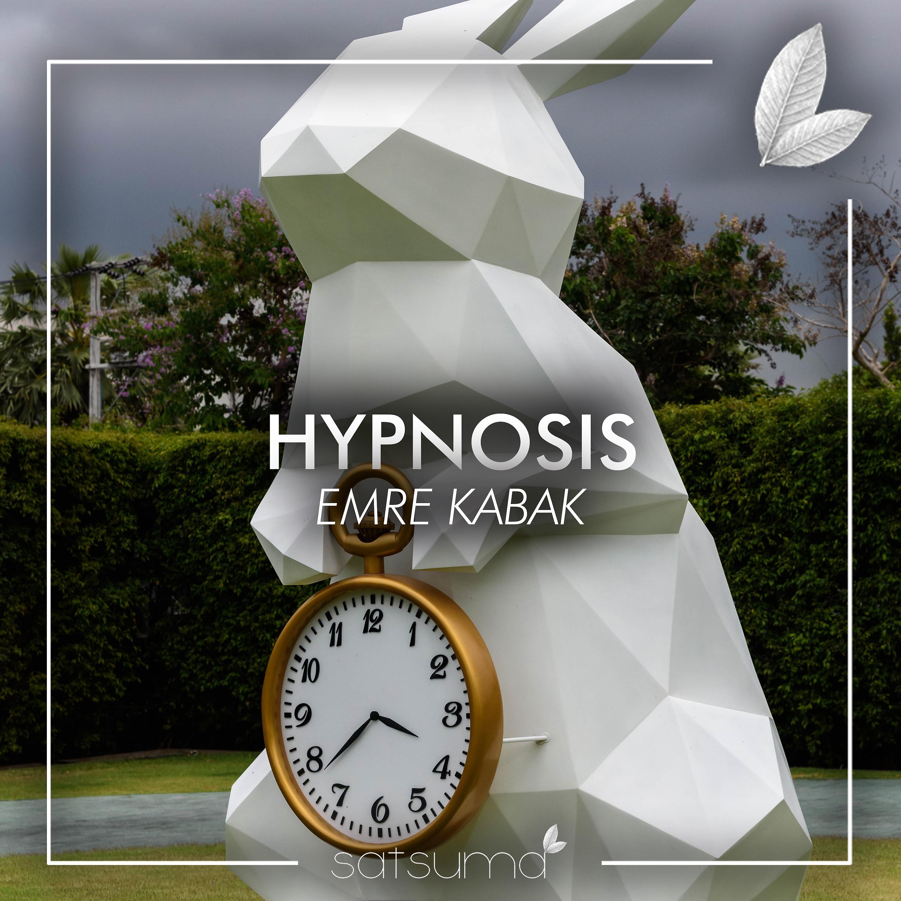 Постер альбома Hynosis