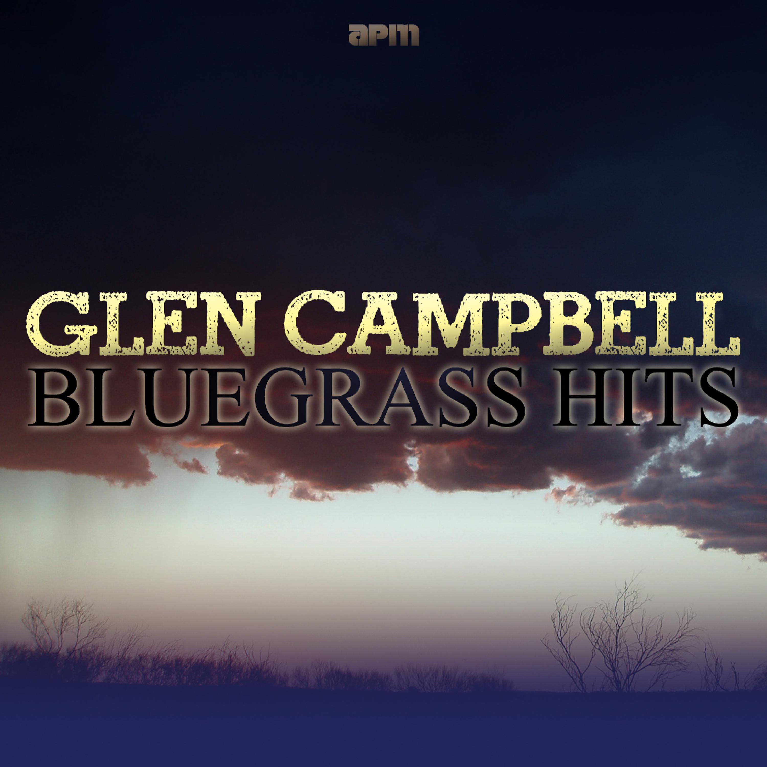 Постер альбома Bluegrass Hits