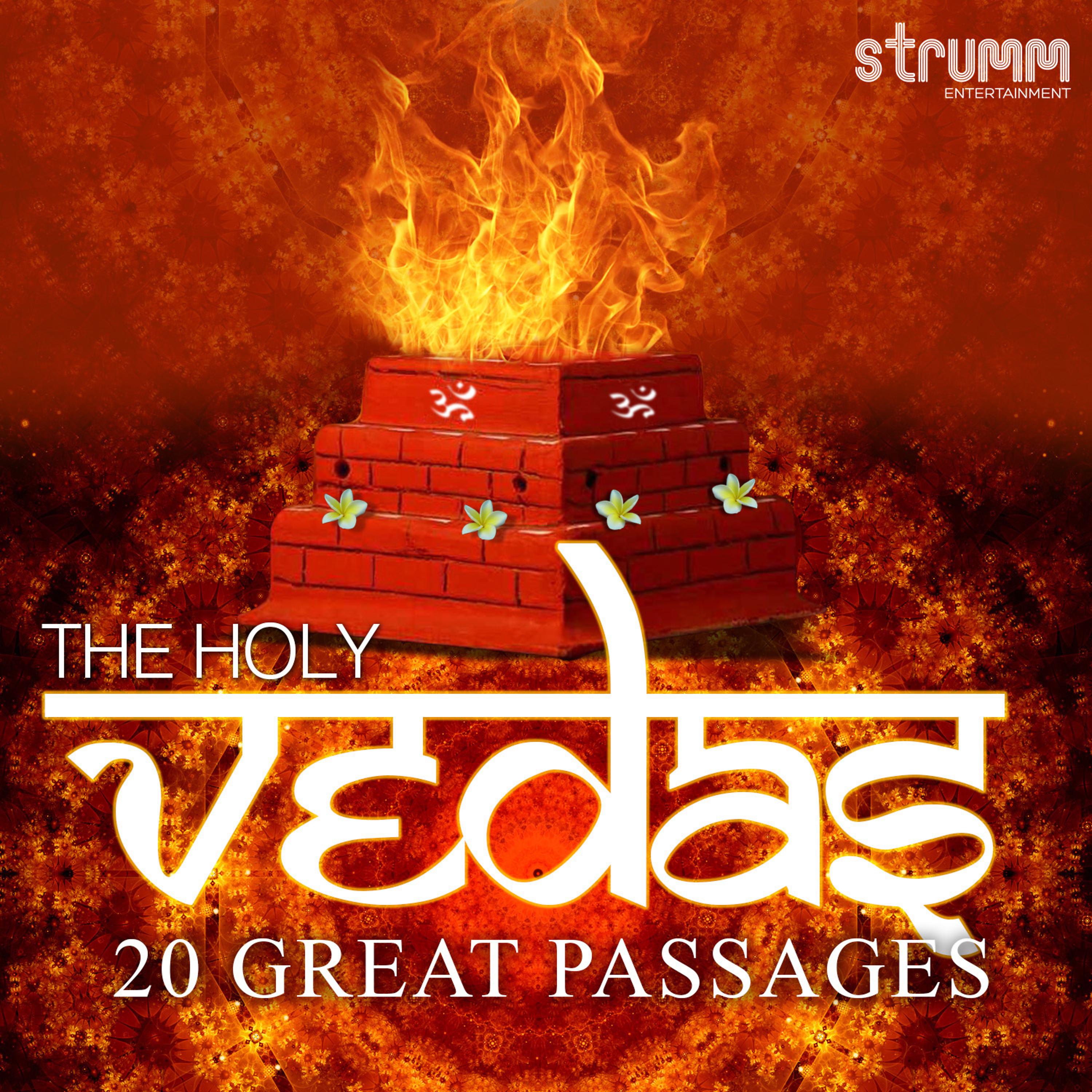 Постер альбома The Holy Vedas - 20 Great Passages
