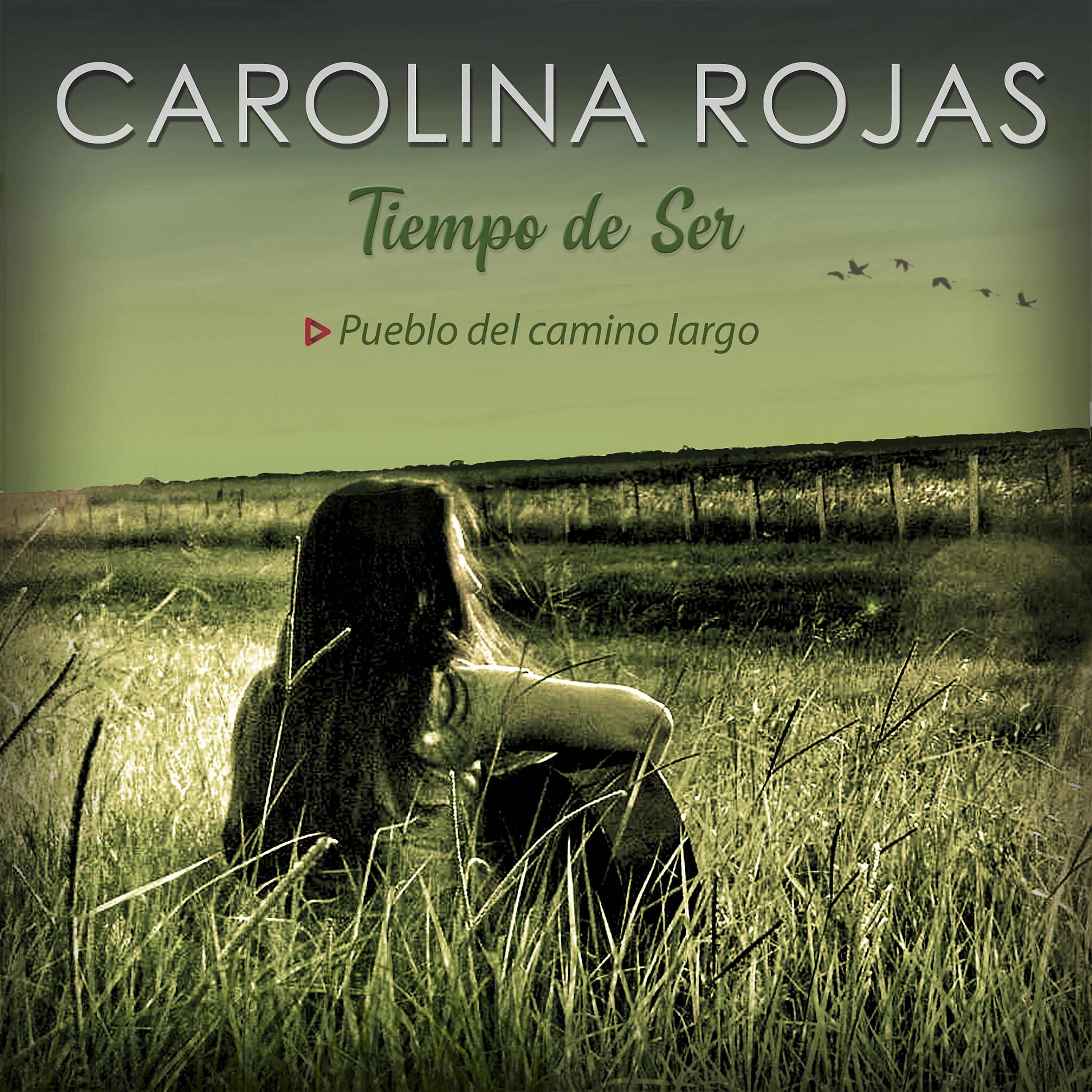 Постер альбома Pueblo del Camino Largo