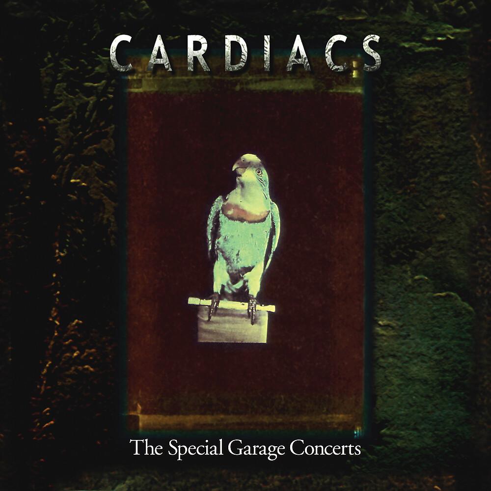 Постер альбома The Special Garage Concerts, Vol. 2