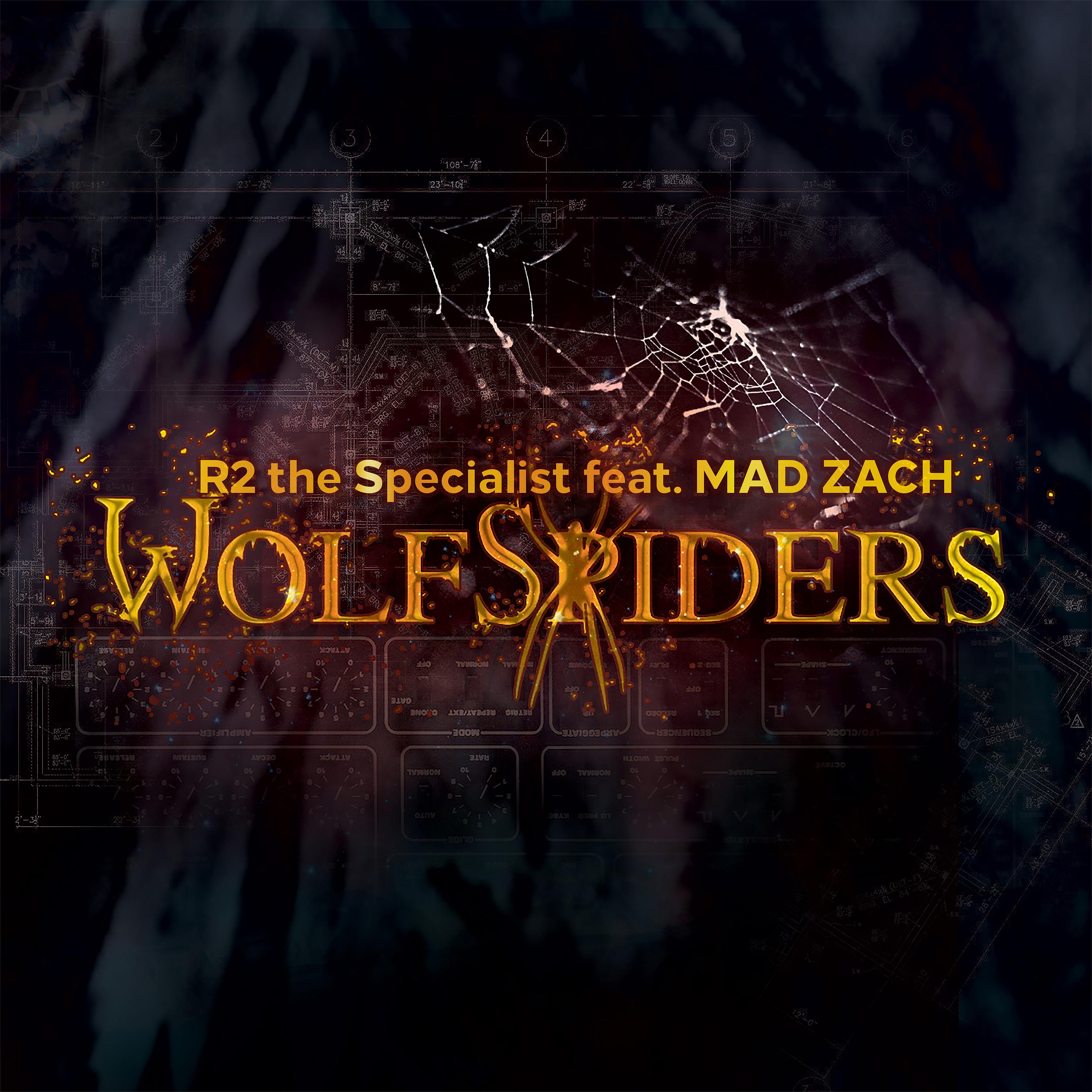 Постер альбома Wolf Spiders