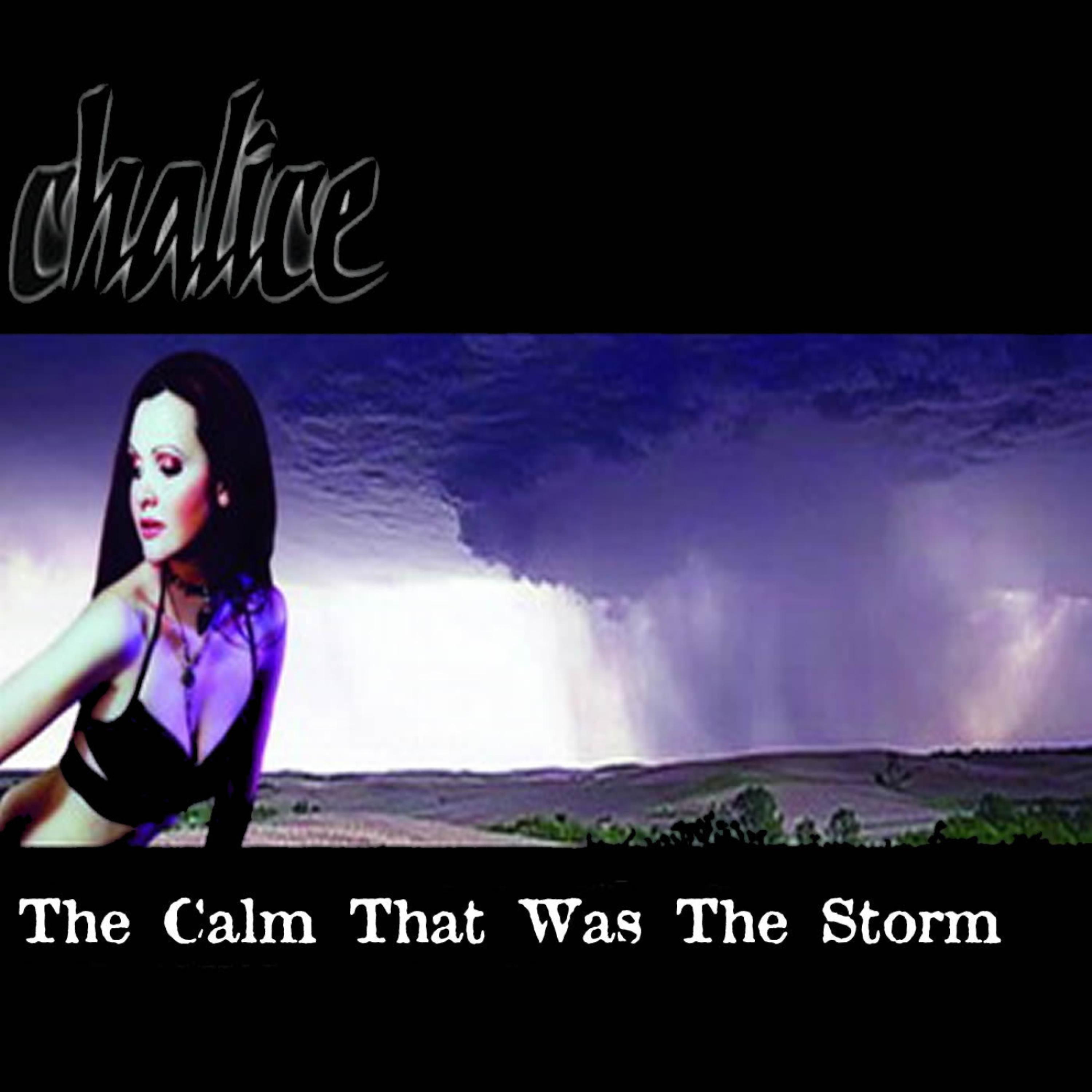 Постер альбома The Calm That Was the Storm