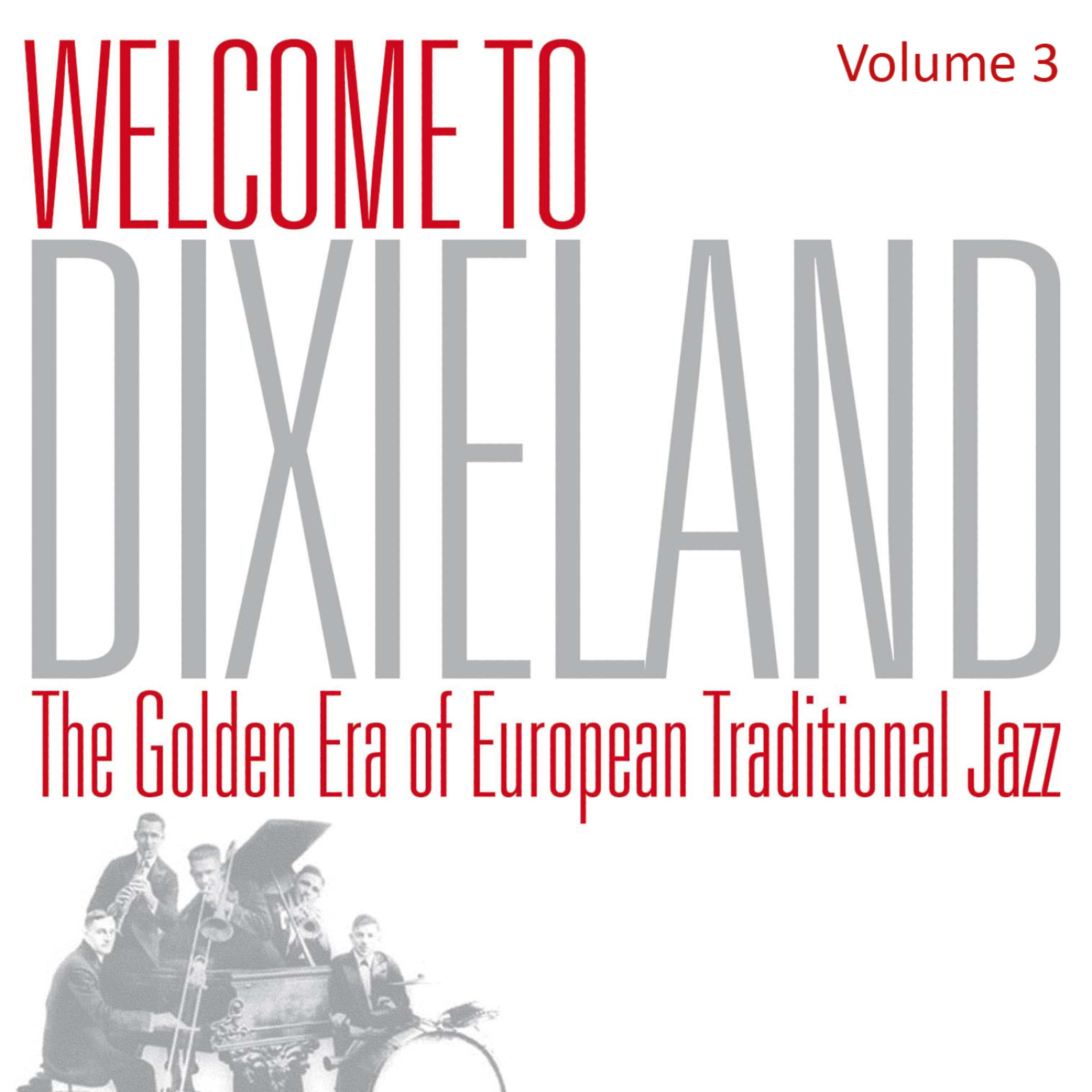 Постер альбома Welcome To Dixieland Vol. 3