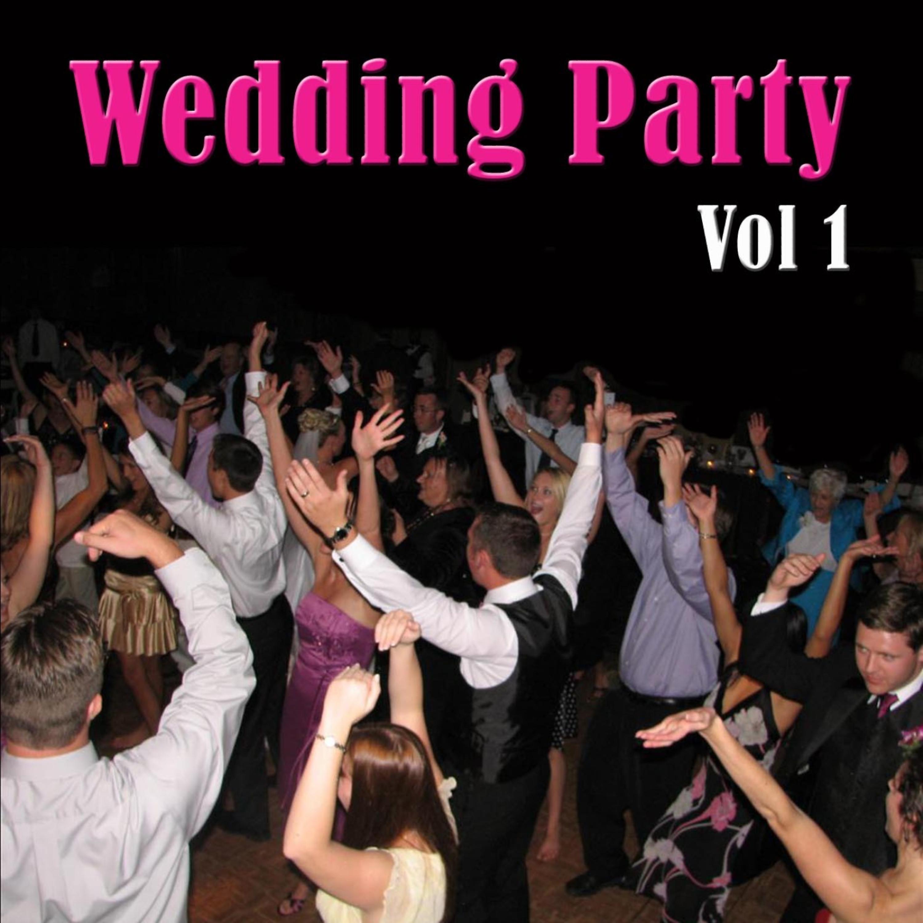 Постер альбома Wedding Party, Vol 1