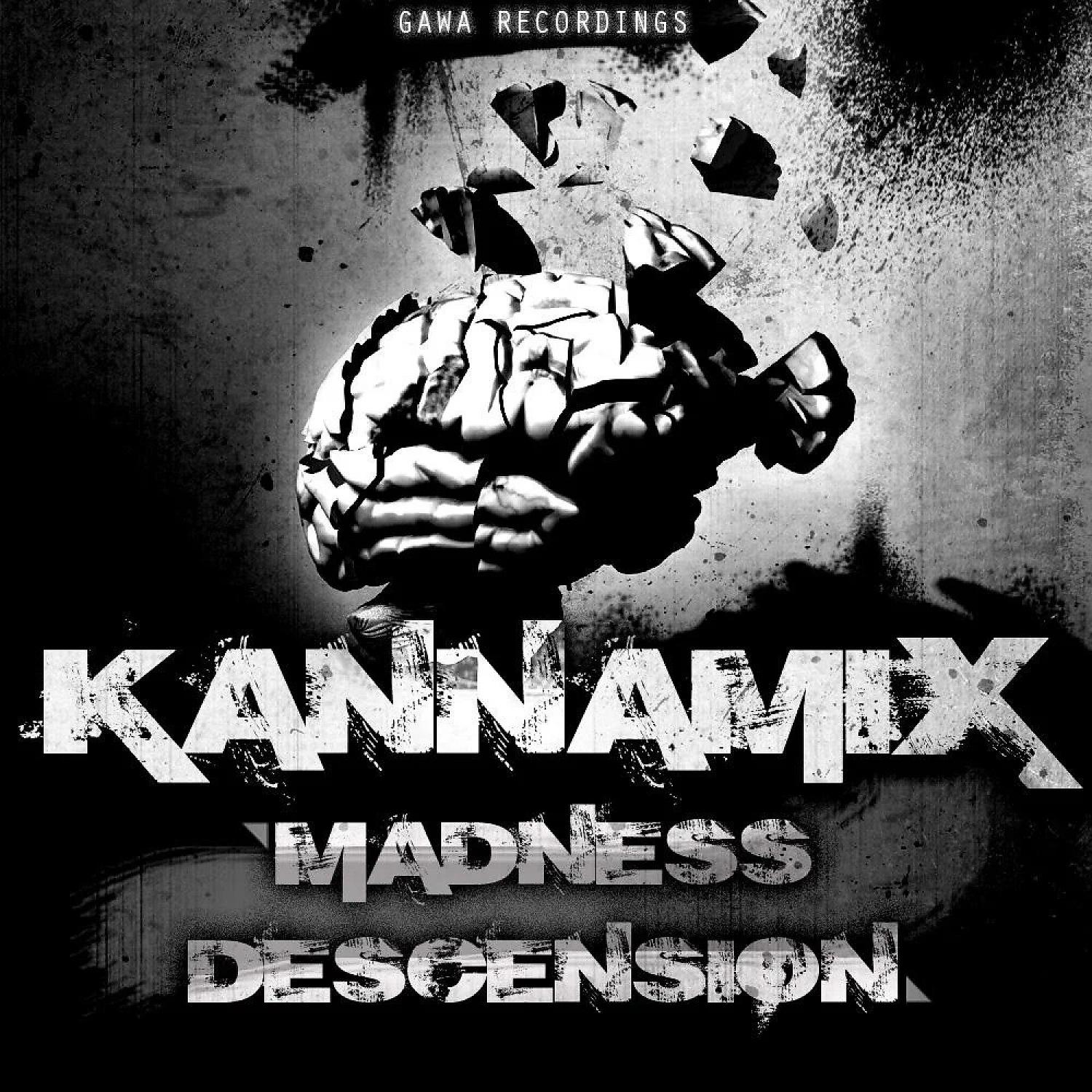 Постер альбома Madness Descension