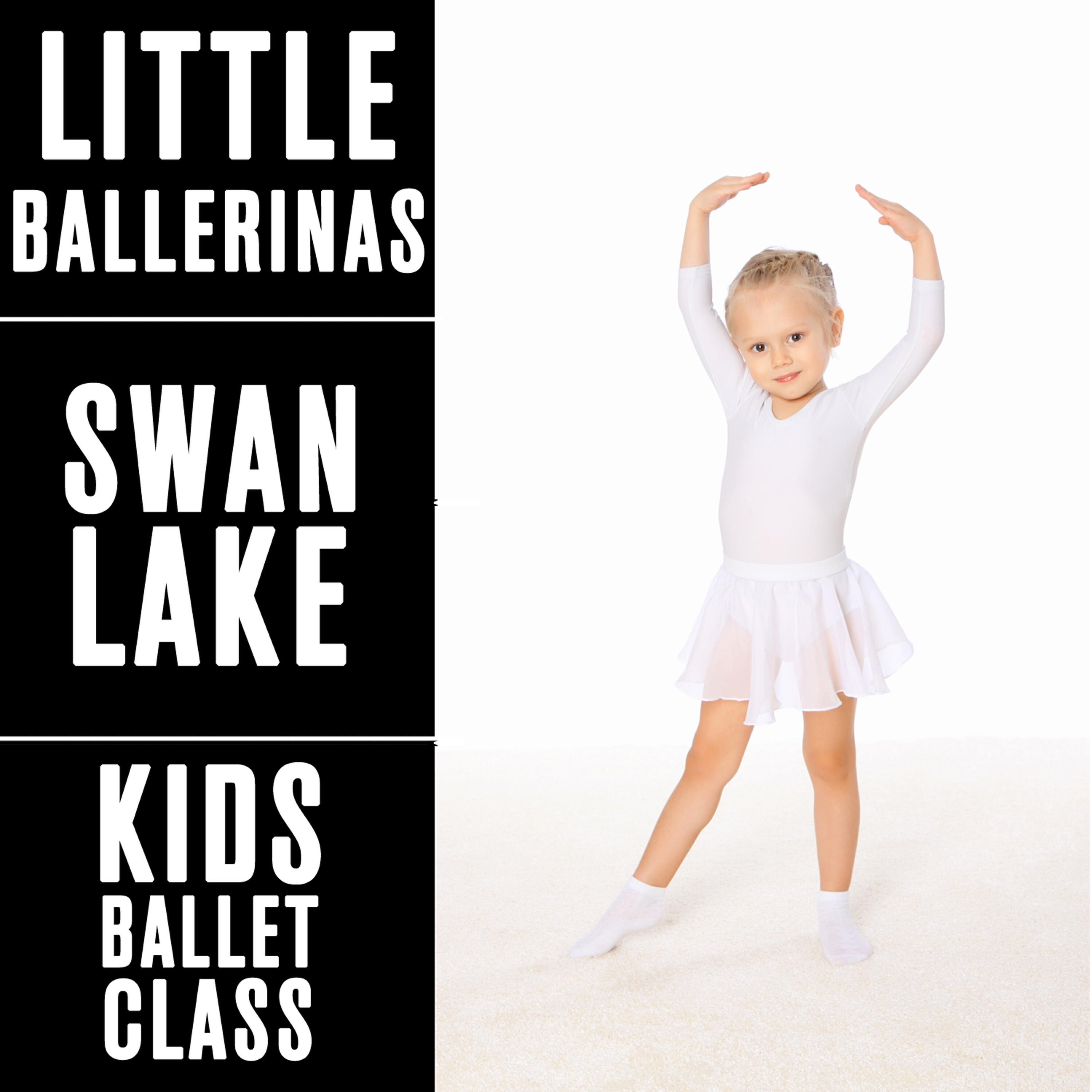 The Mariinsky Theatre Symphony Orchestra - Swan Lake, Op. 20: No. 10, Scène. Moderato
