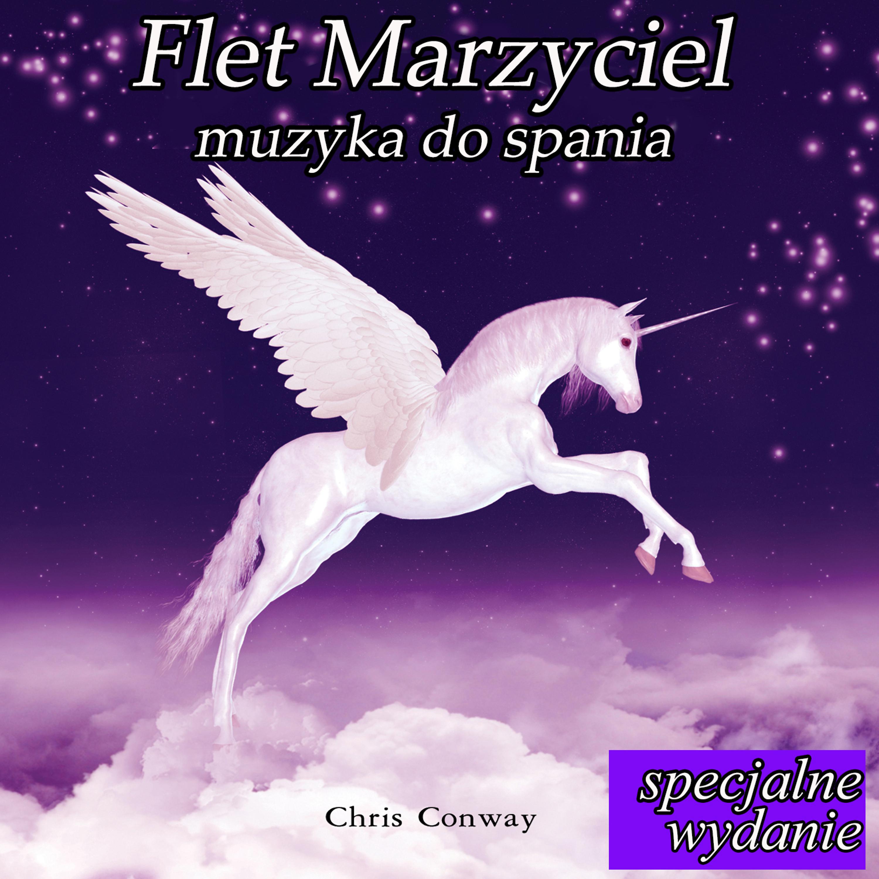 Постер альбома Flet marzyciel: Muzyka do spania: specjalne wydanie