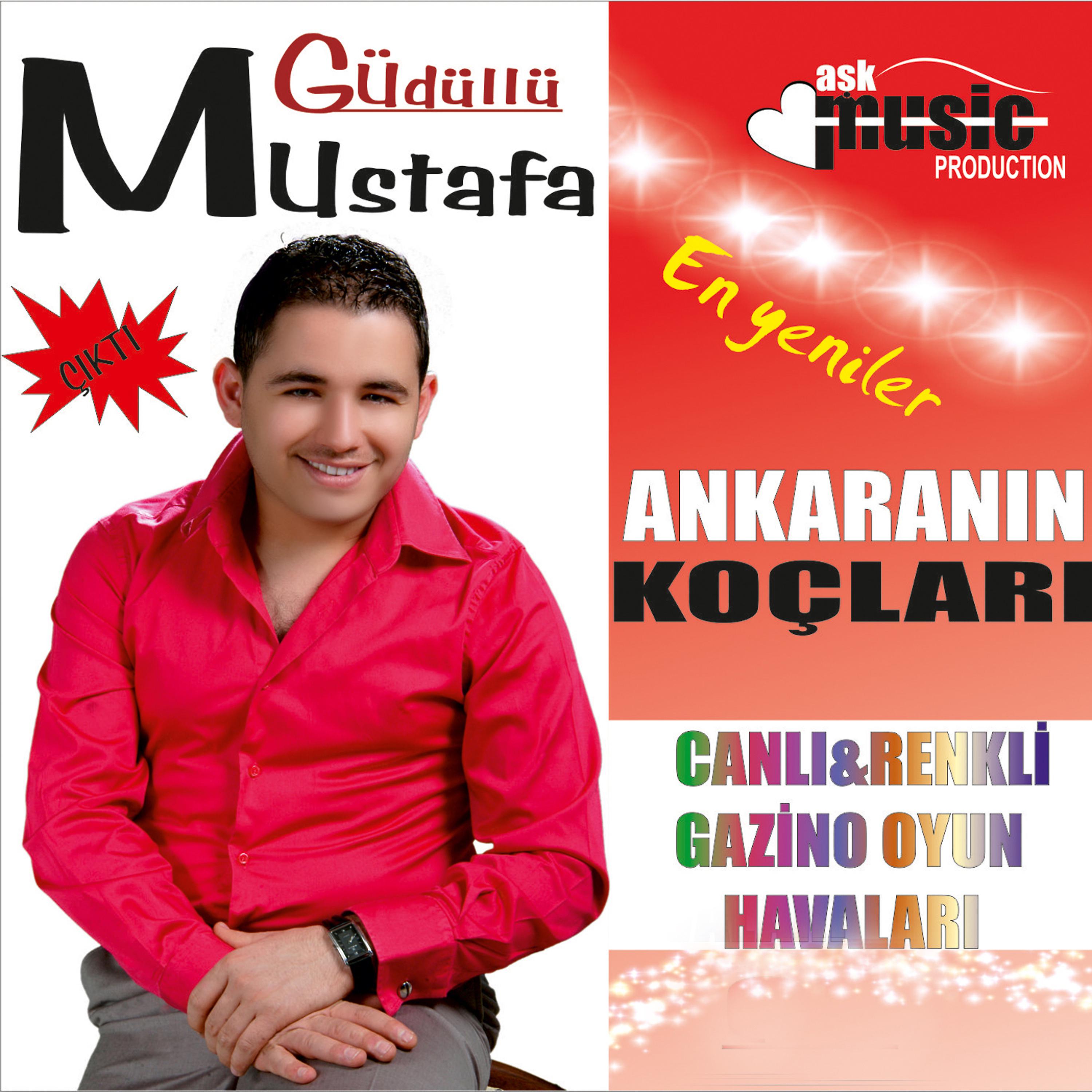 Постер альбома Ankaranın Koçları