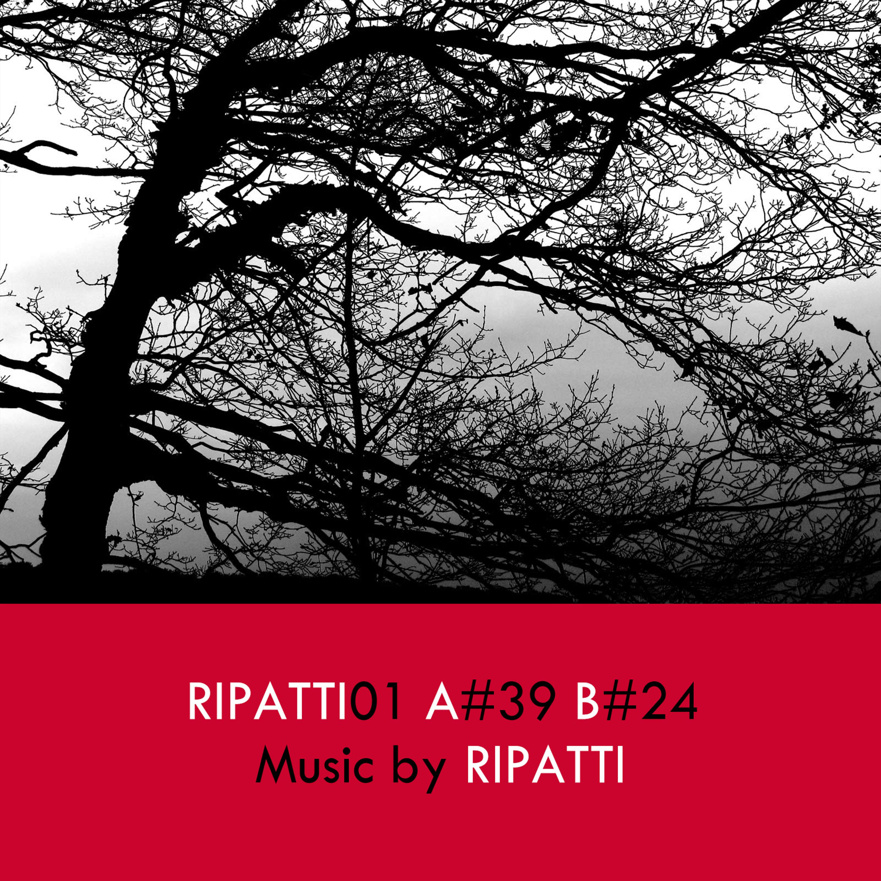 Постер альбома Ripatti01